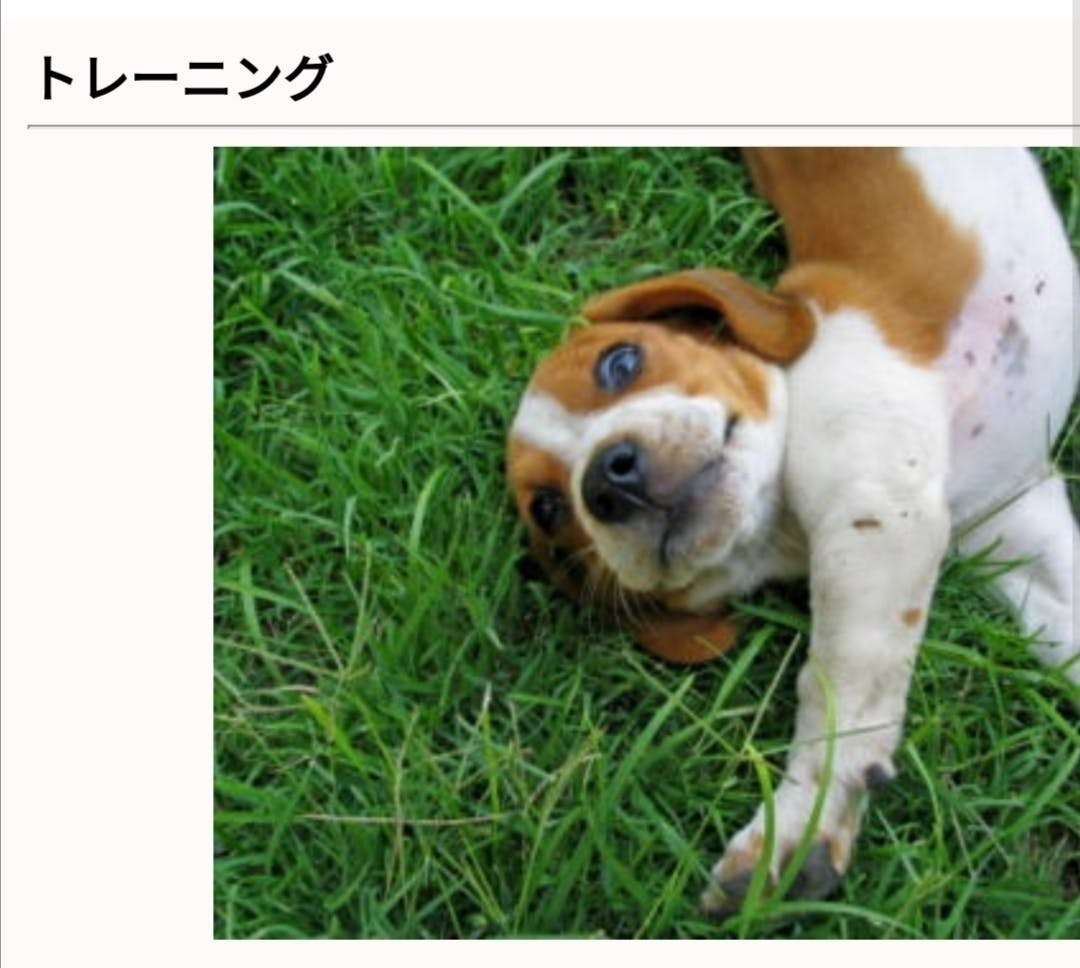 リターン画像