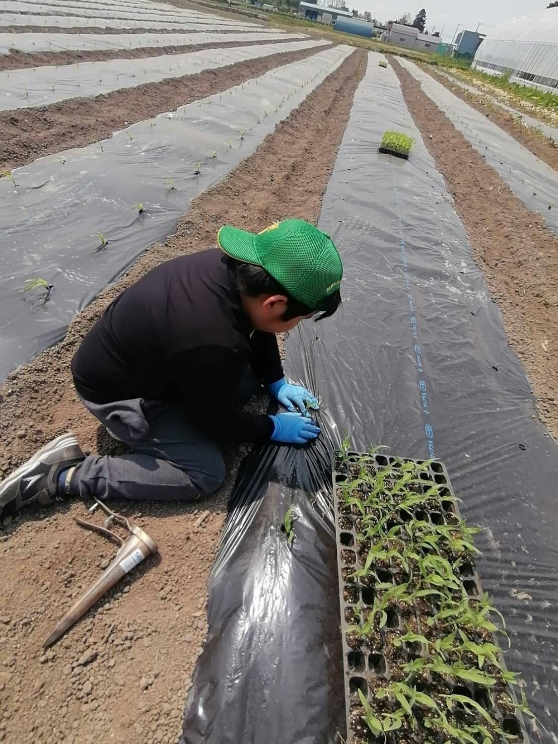 5番目のメイン画像