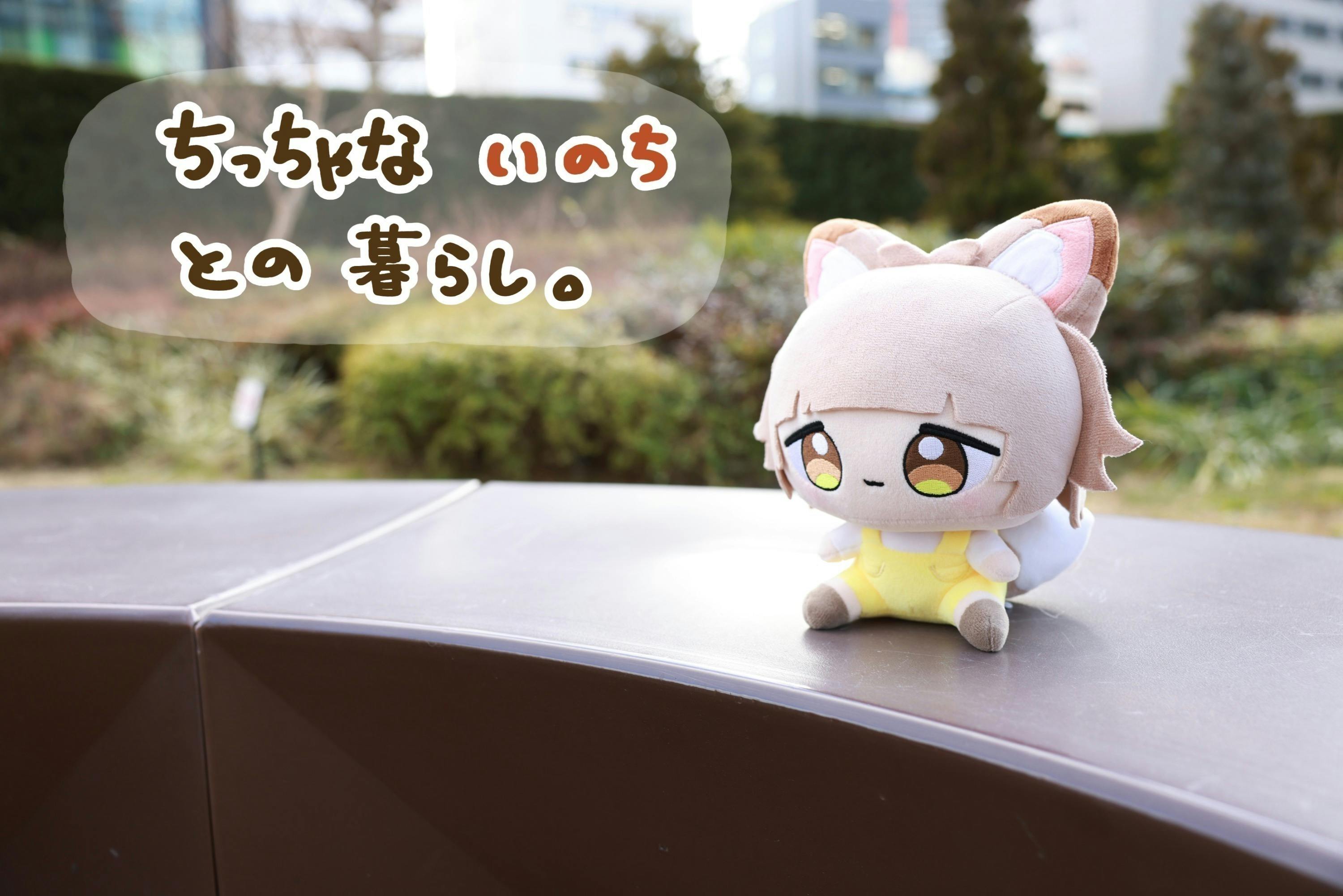 3番目のメイン画像