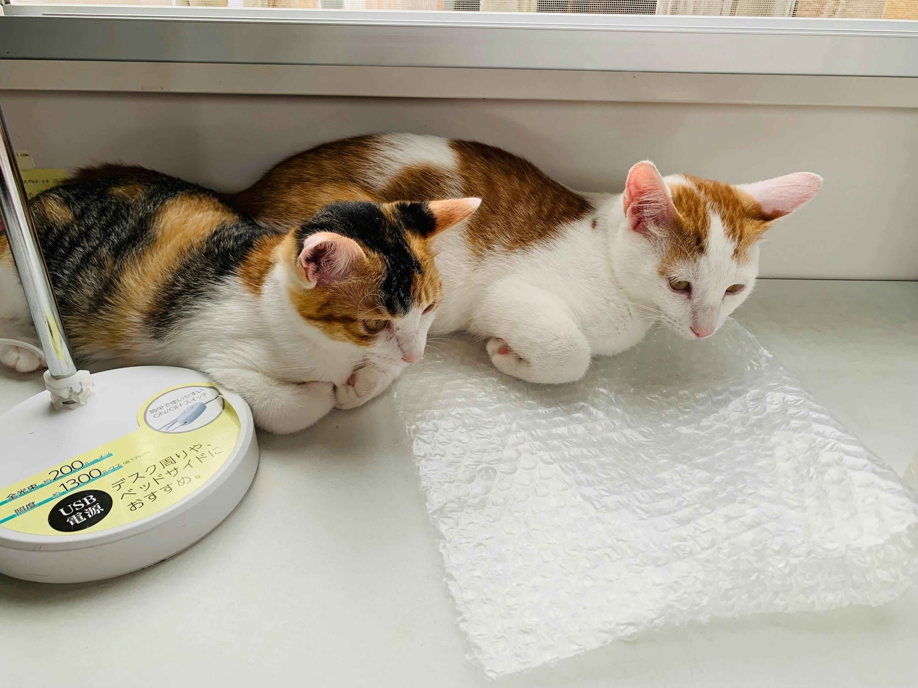 5番目のメイン画像