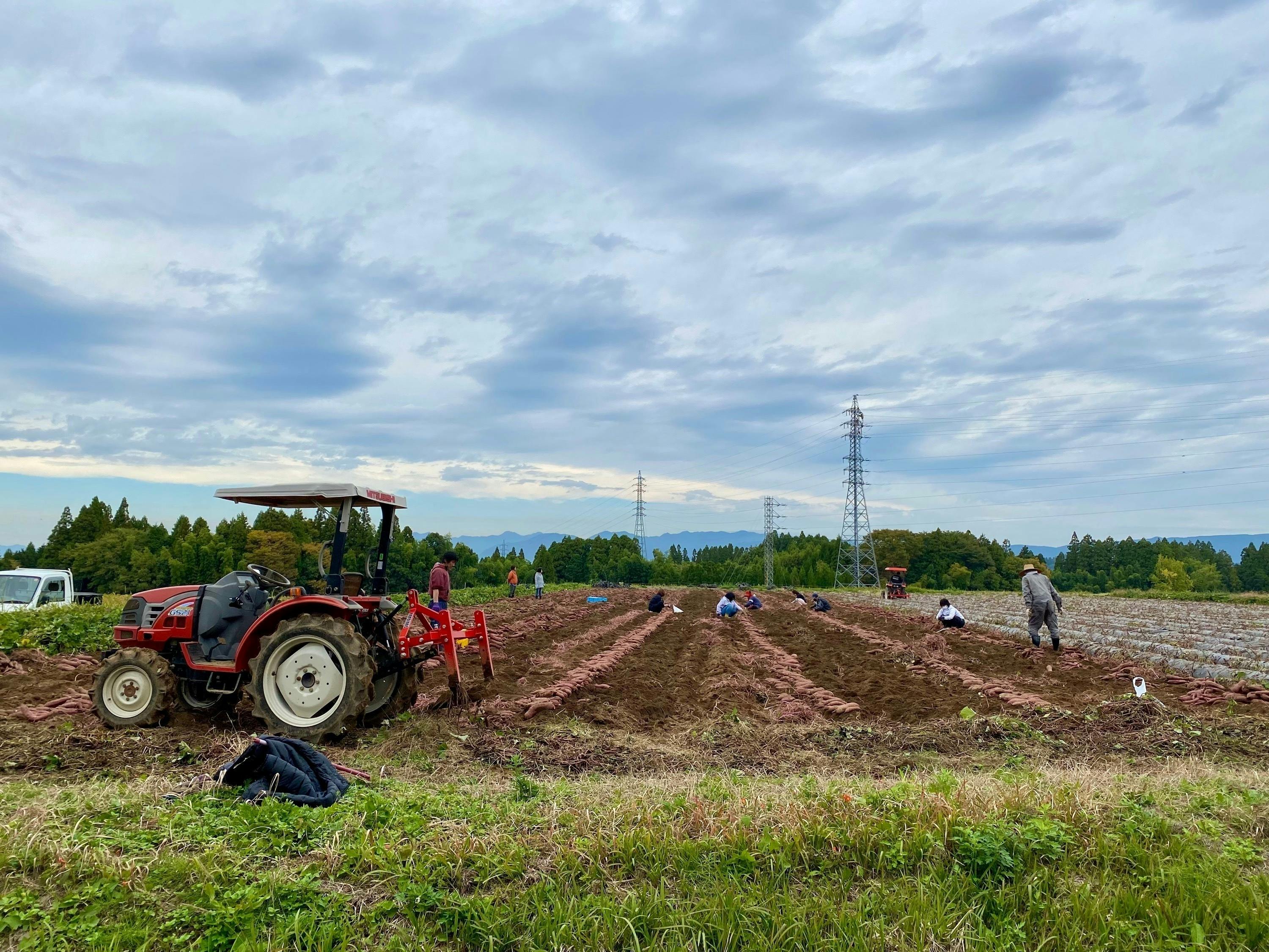 3番目のメイン画像