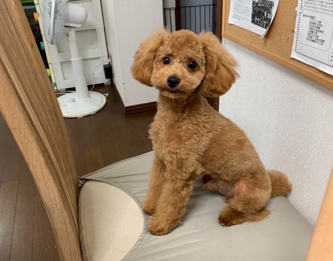 4番目のメイン画像