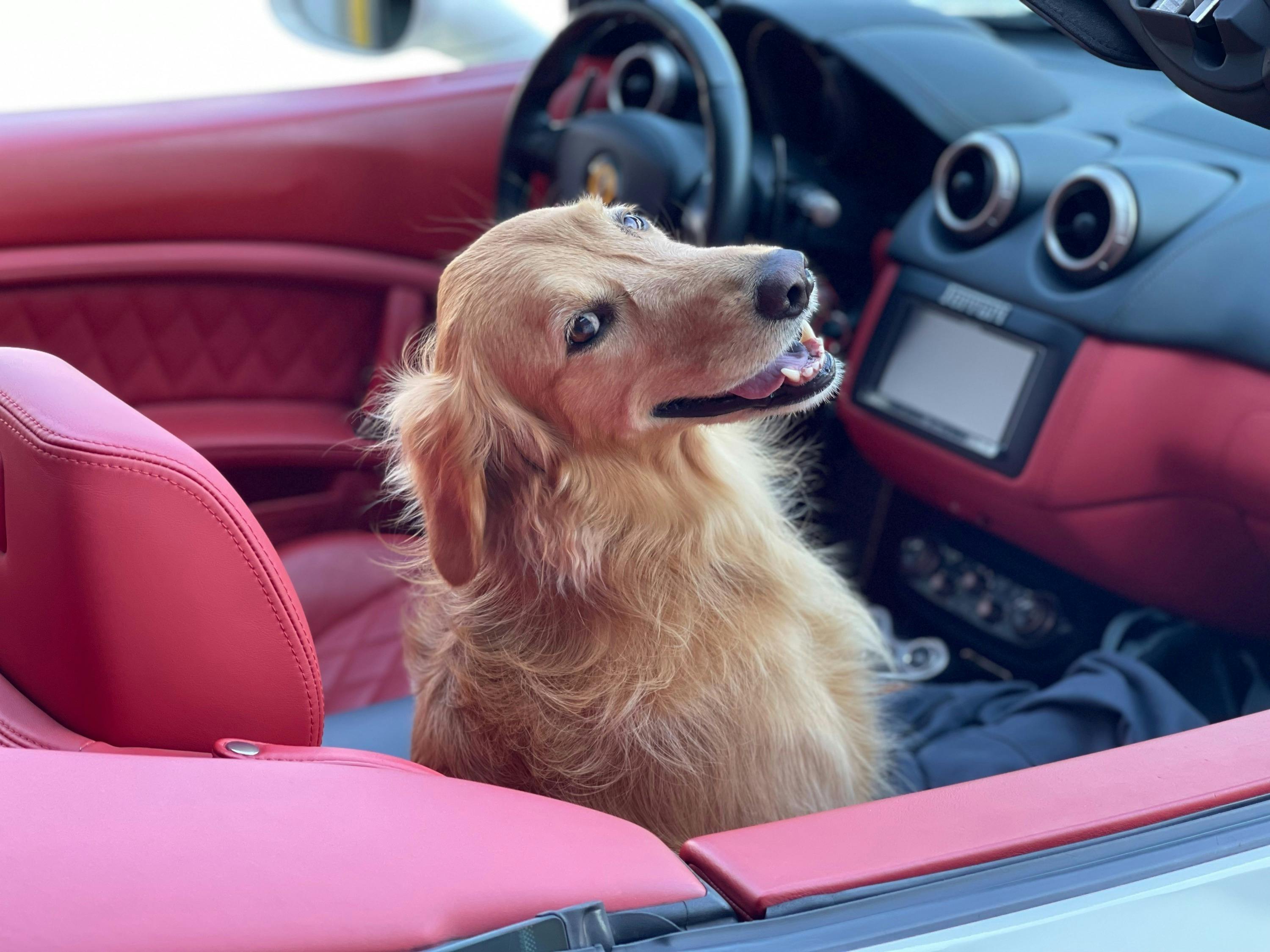 4番目のメイン画像