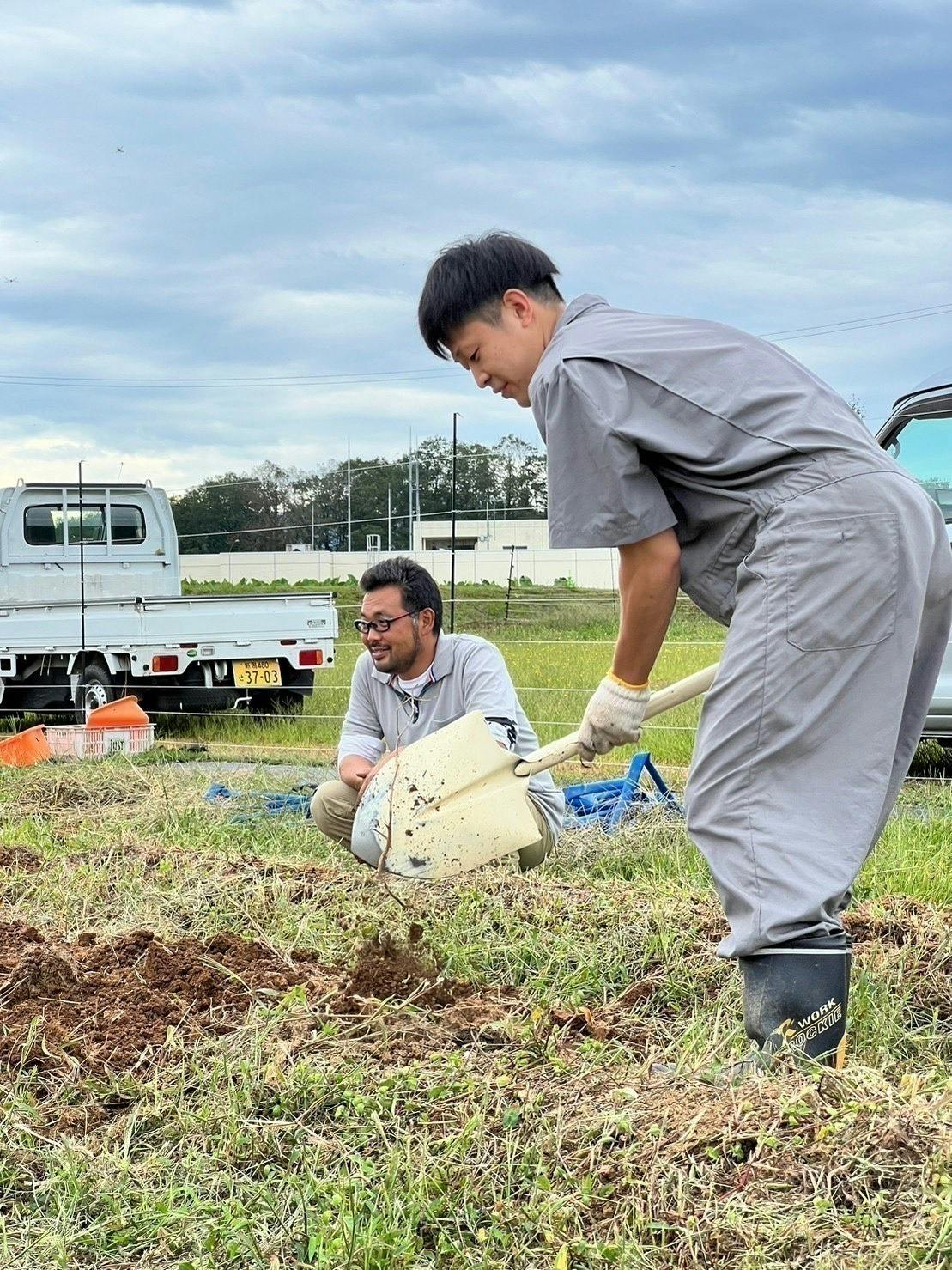 3番目のメイン画像