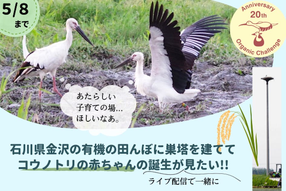 『希少　リヤドロ コウノトリの贈り物』 リヤドロ】【コウノトリの贈り物（女の子）】【絶版】【6382】