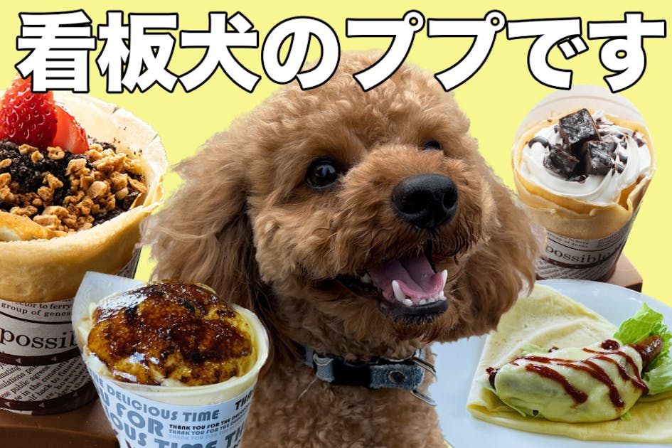 クレープが美味しいドッグカフェを開きたい！ - CAMPFIRE (キャンプ