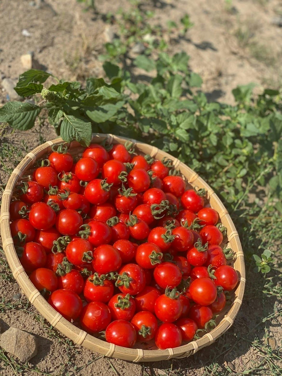 5番目のメイン画像