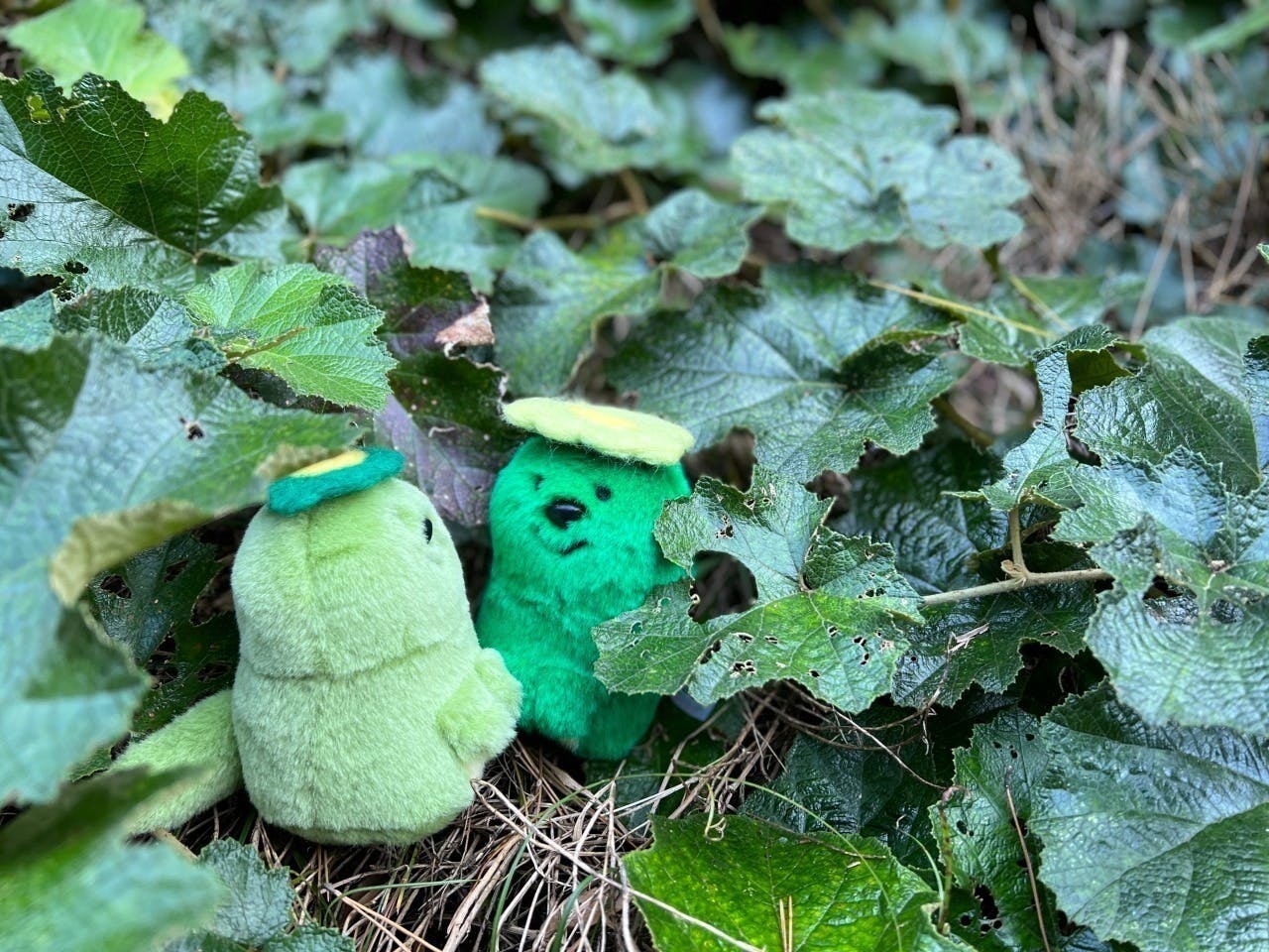 5番目のメイン画像