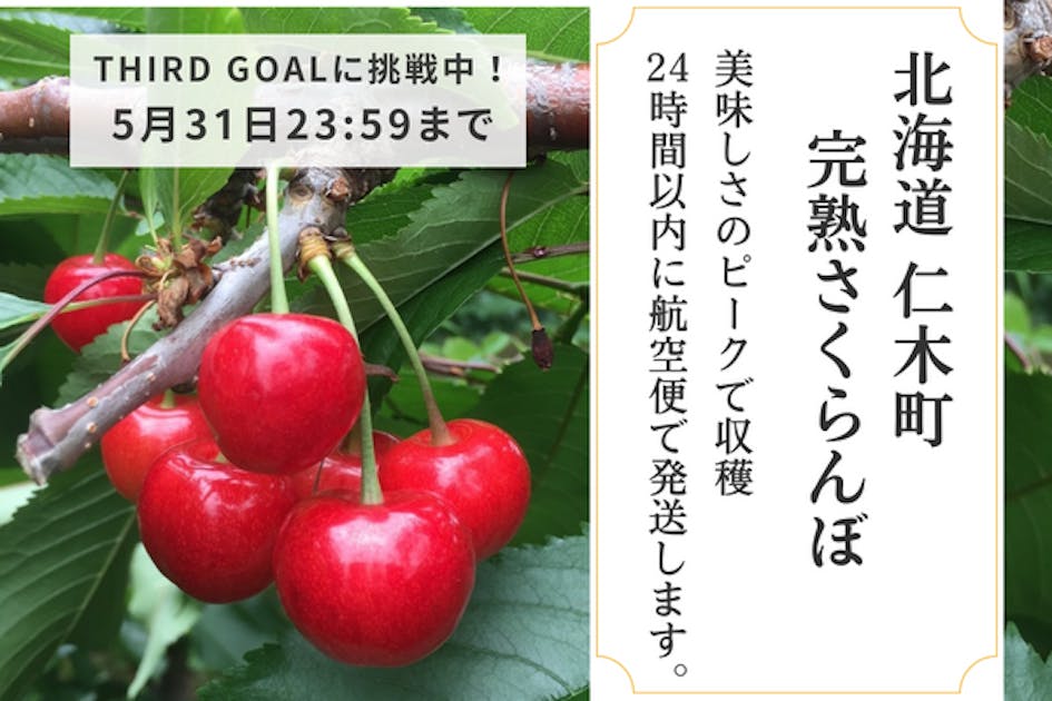 北海道仁木町のさくらんぼを美味しさのピークで届けたい！ - CAMPFIRE