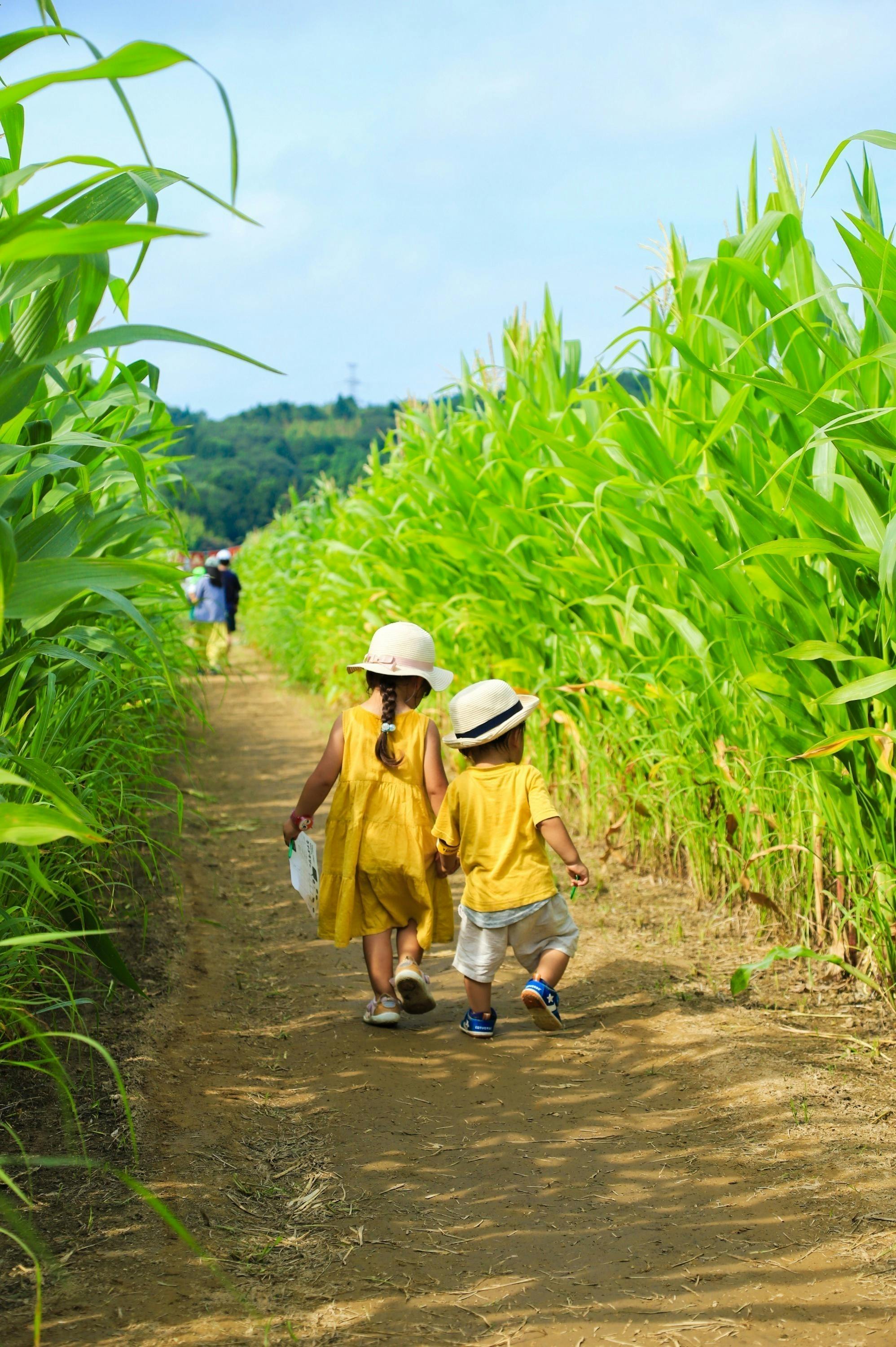3番目のメイン画像