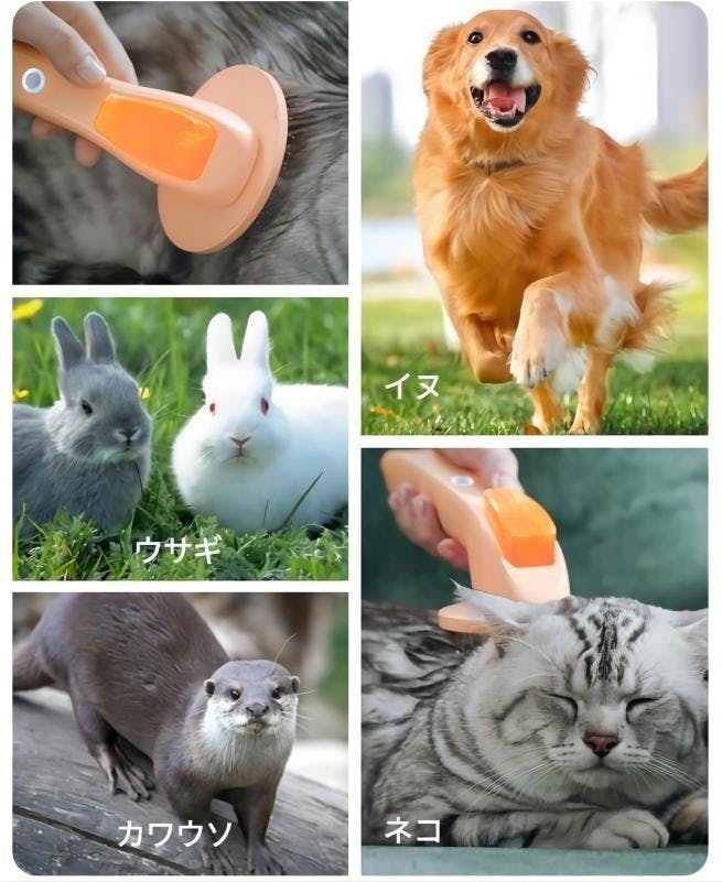 5番目のメイン画像