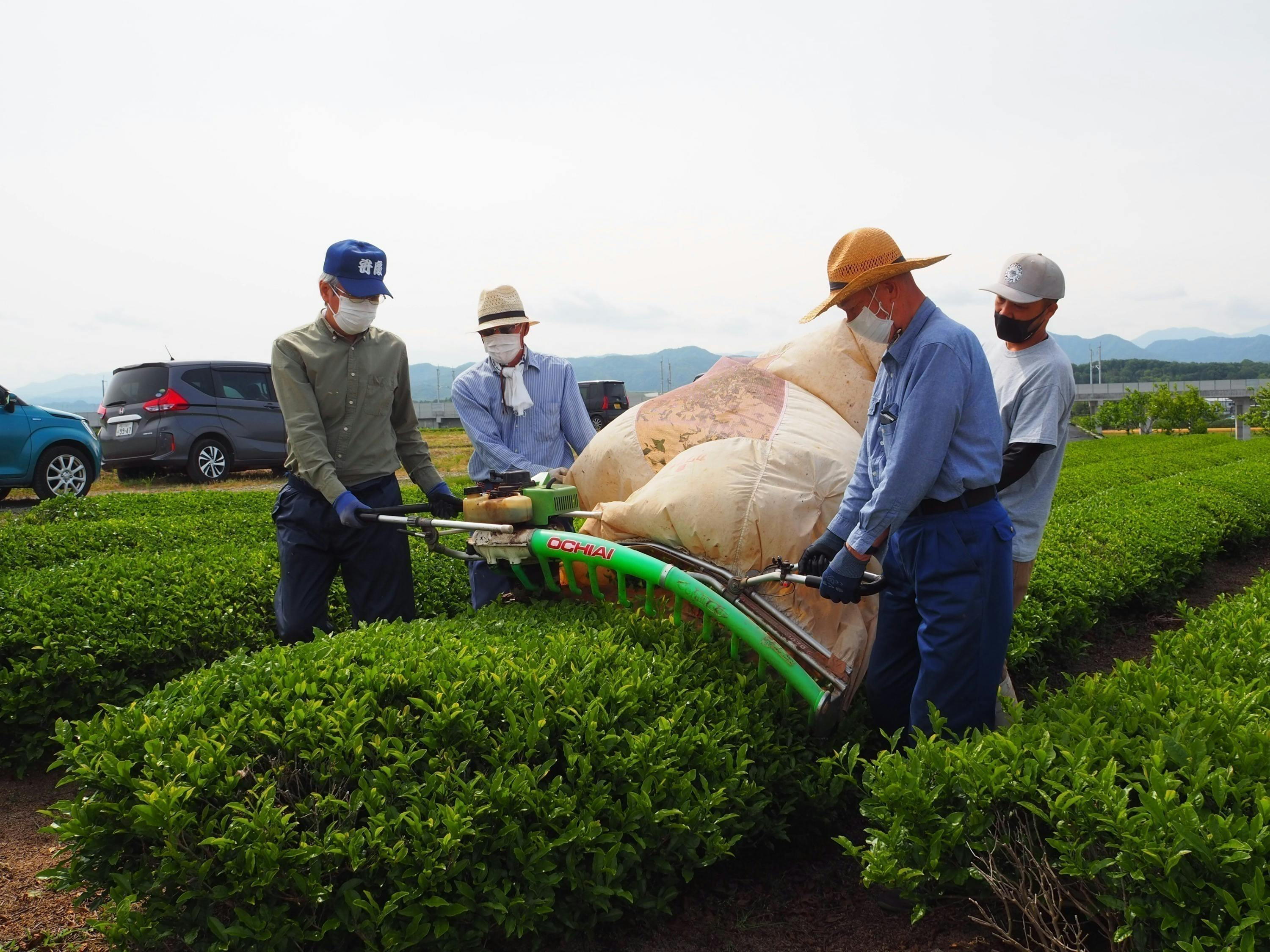 2番目のメイン画像