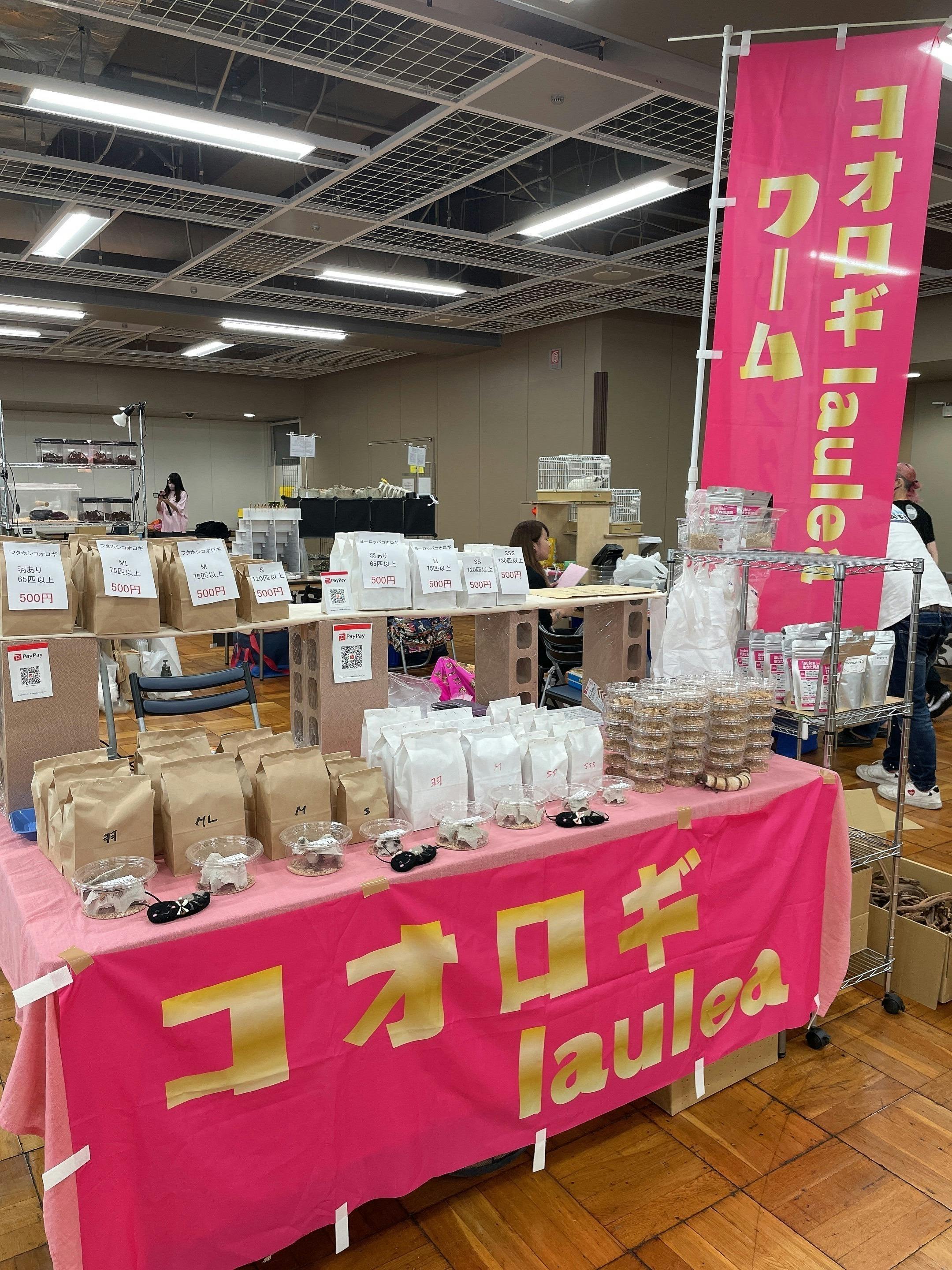 3番目のメイン画像