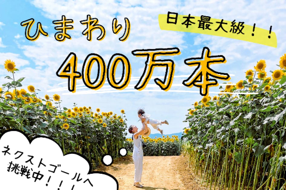 ひまわり畑さん専用キャンバスタブ3枚セット e05b52fd-635e-47cb-aa81-