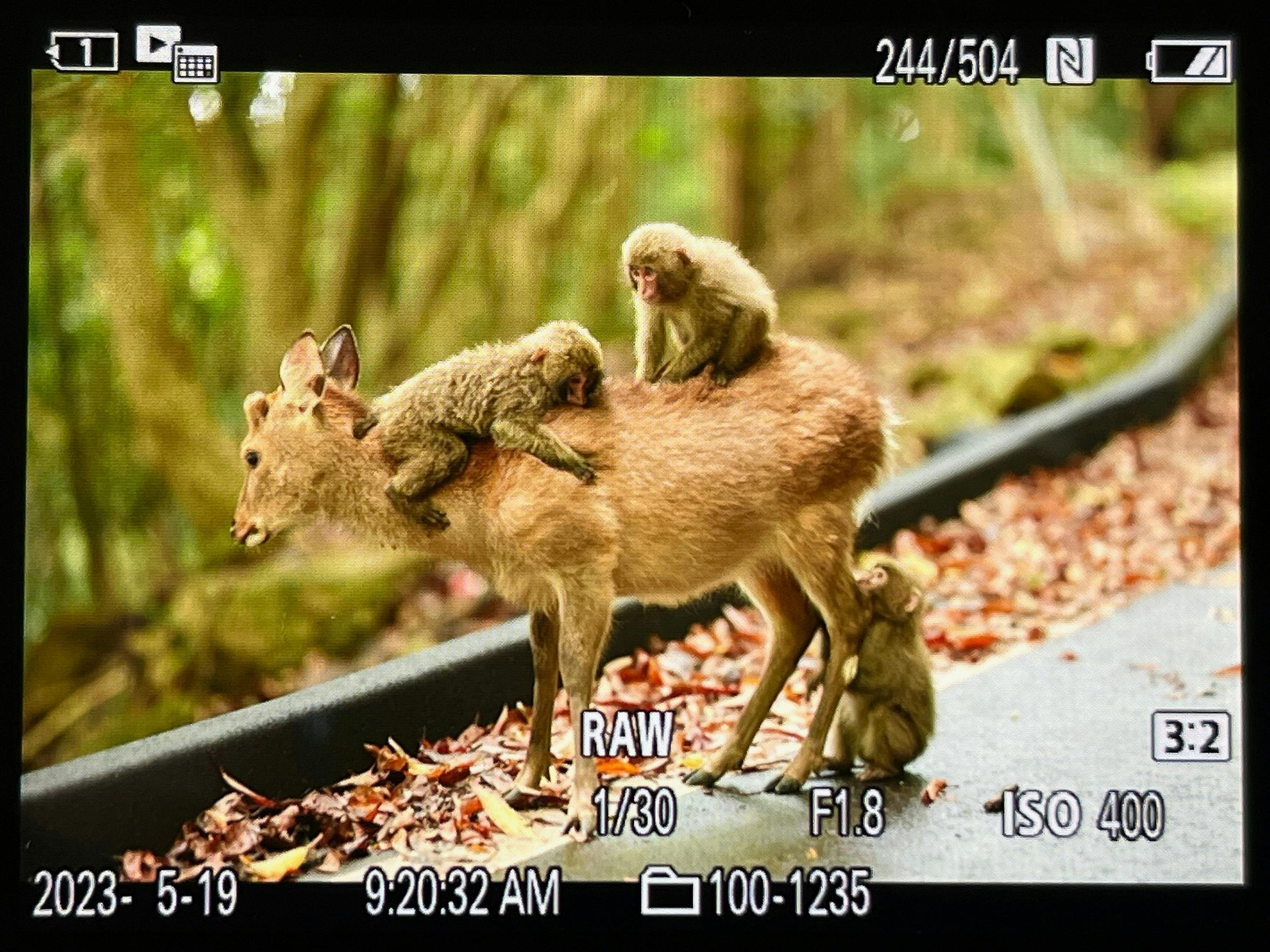 3番目のメイン画像