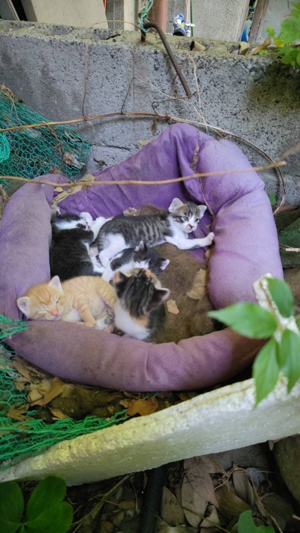 3番目のメイン画像