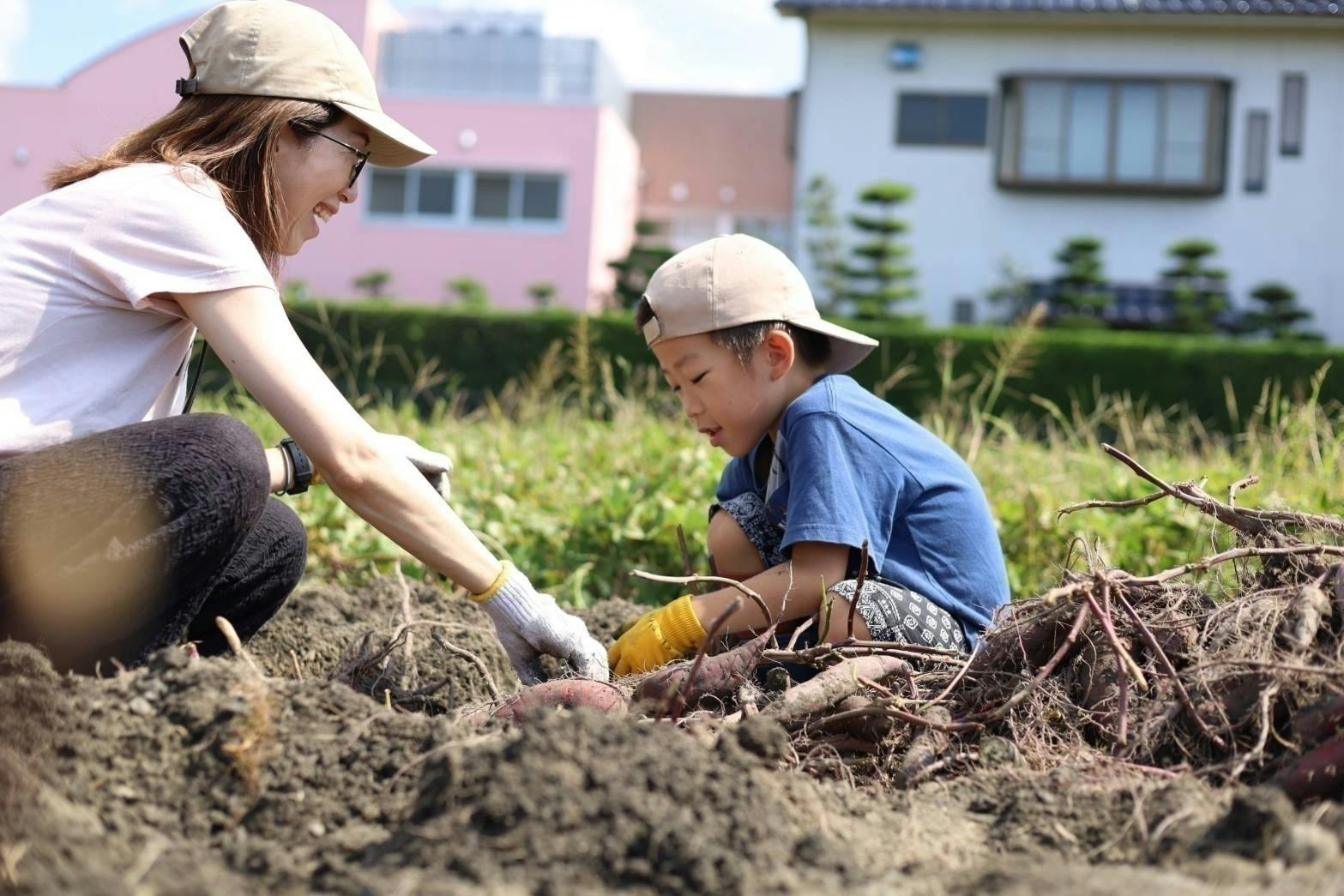 3番目のメイン画像