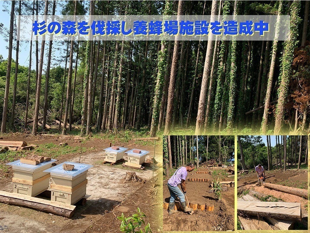 4番目のメイン画像