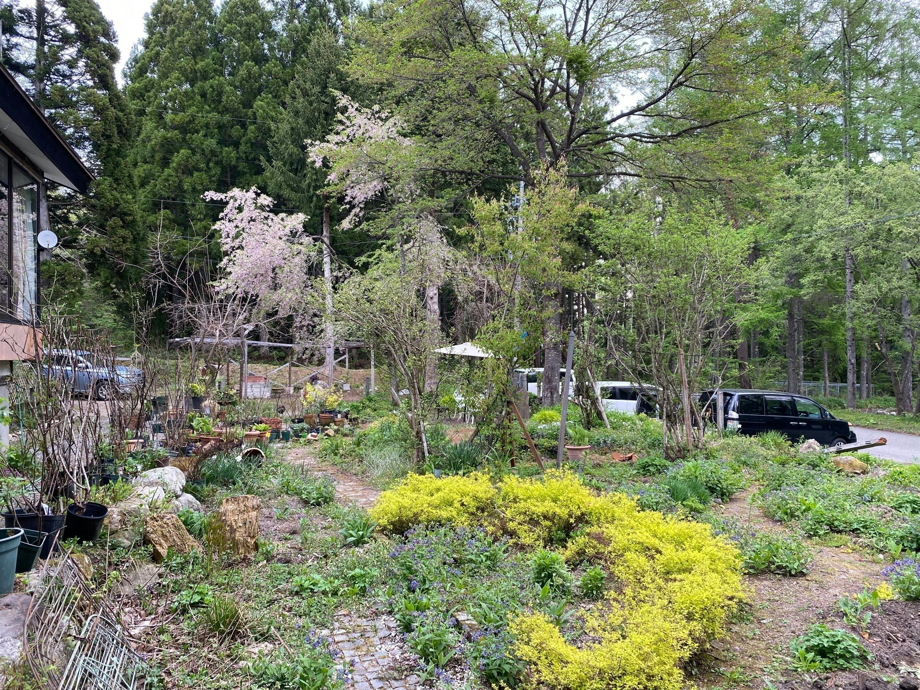 4番目のメイン画像