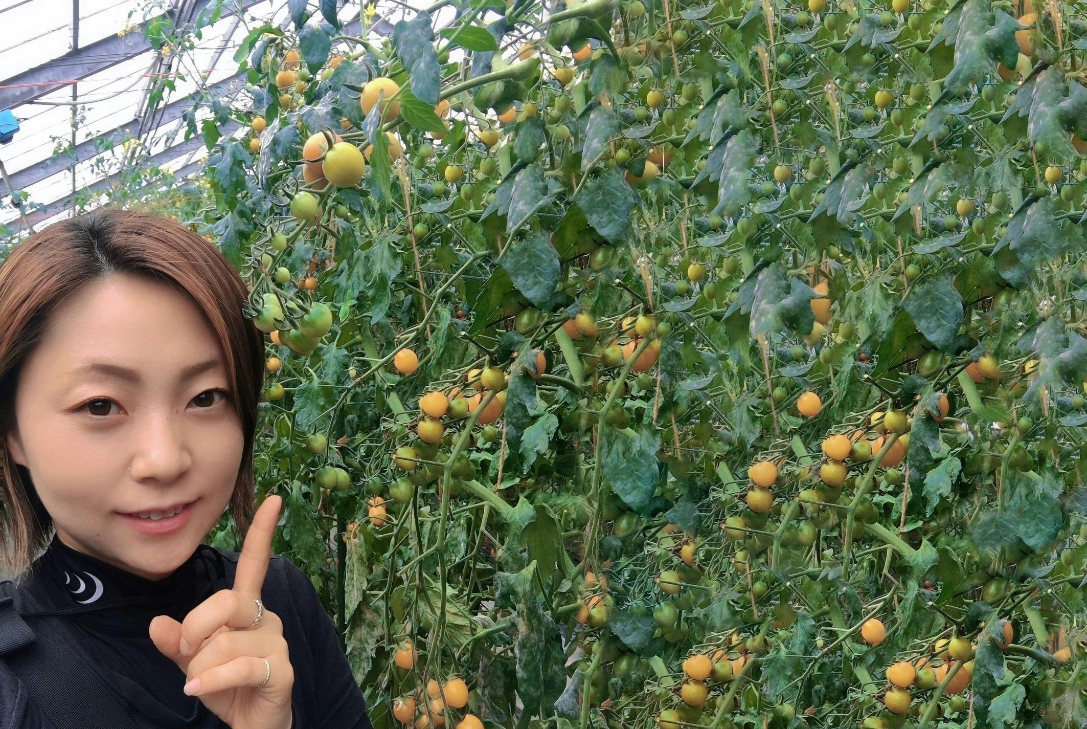 4番目のメイン画像