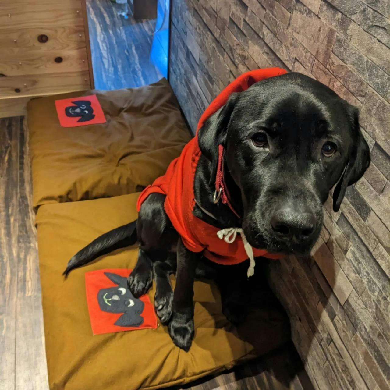 5番目のメイン画像