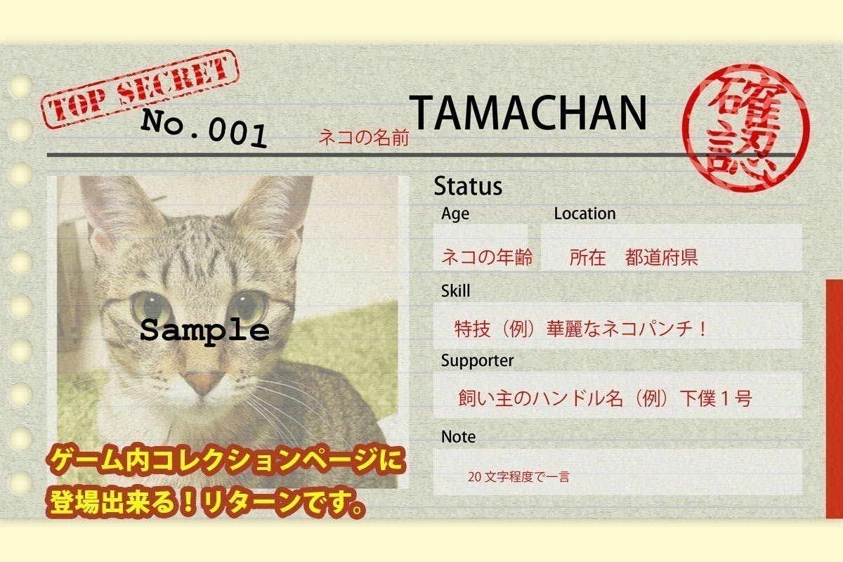 5番目のメイン画像