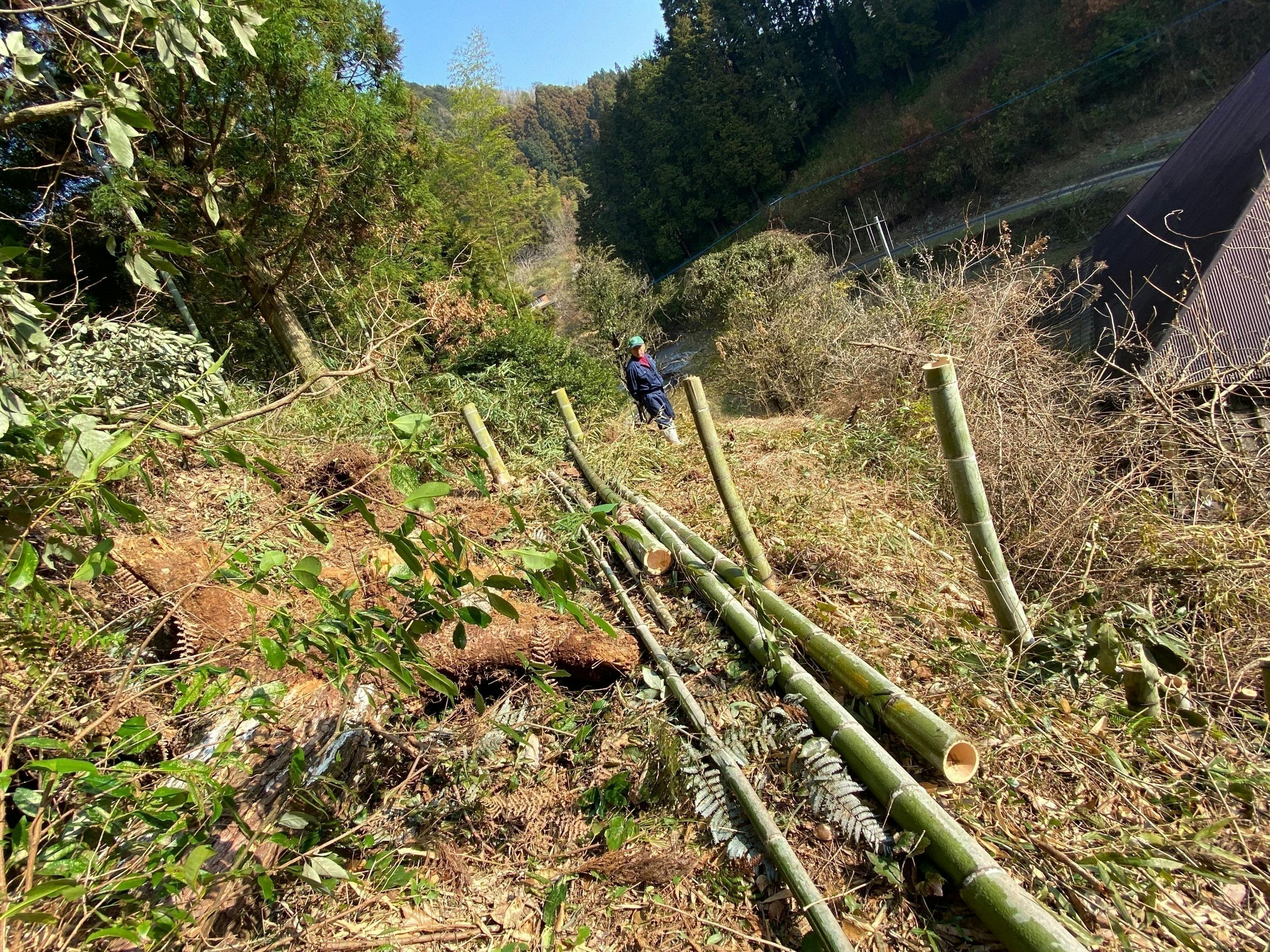 2番目のメイン画像