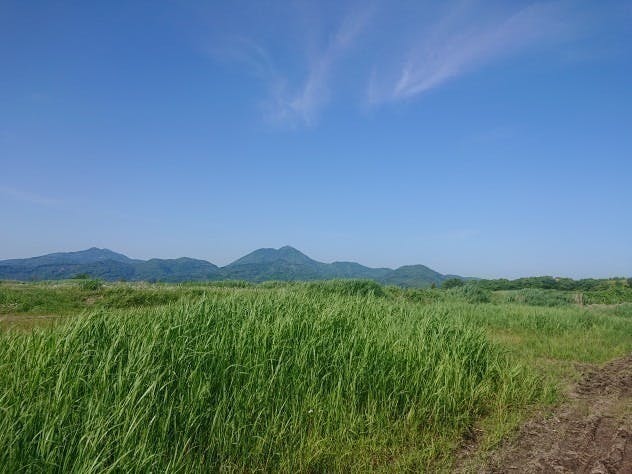 5番目のメイン画像