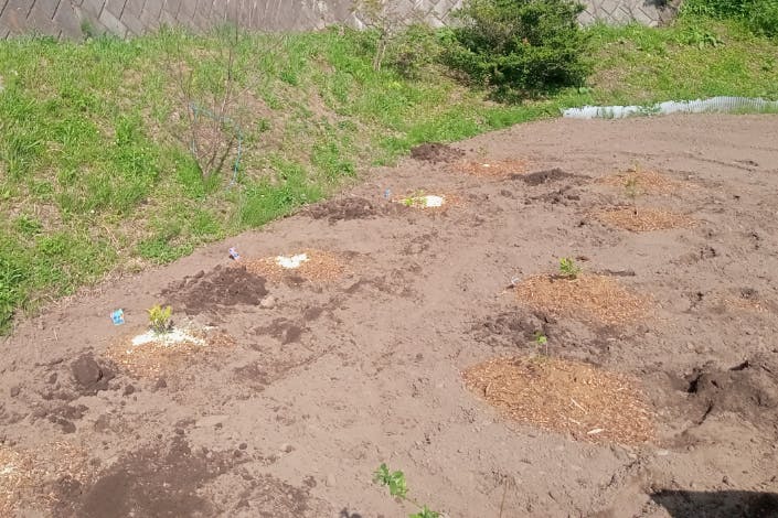 1番目のメイン画像