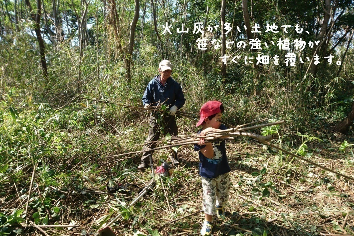 4番目のメイン画像