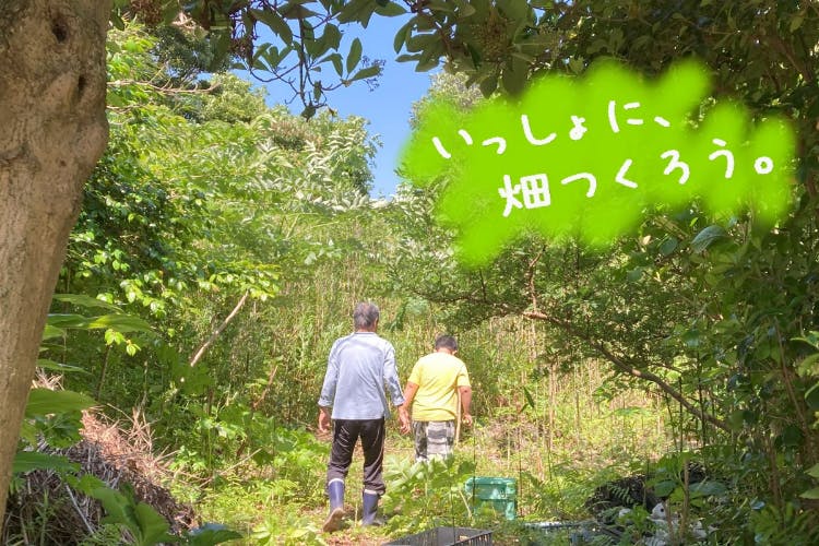 1番目のメイン画像