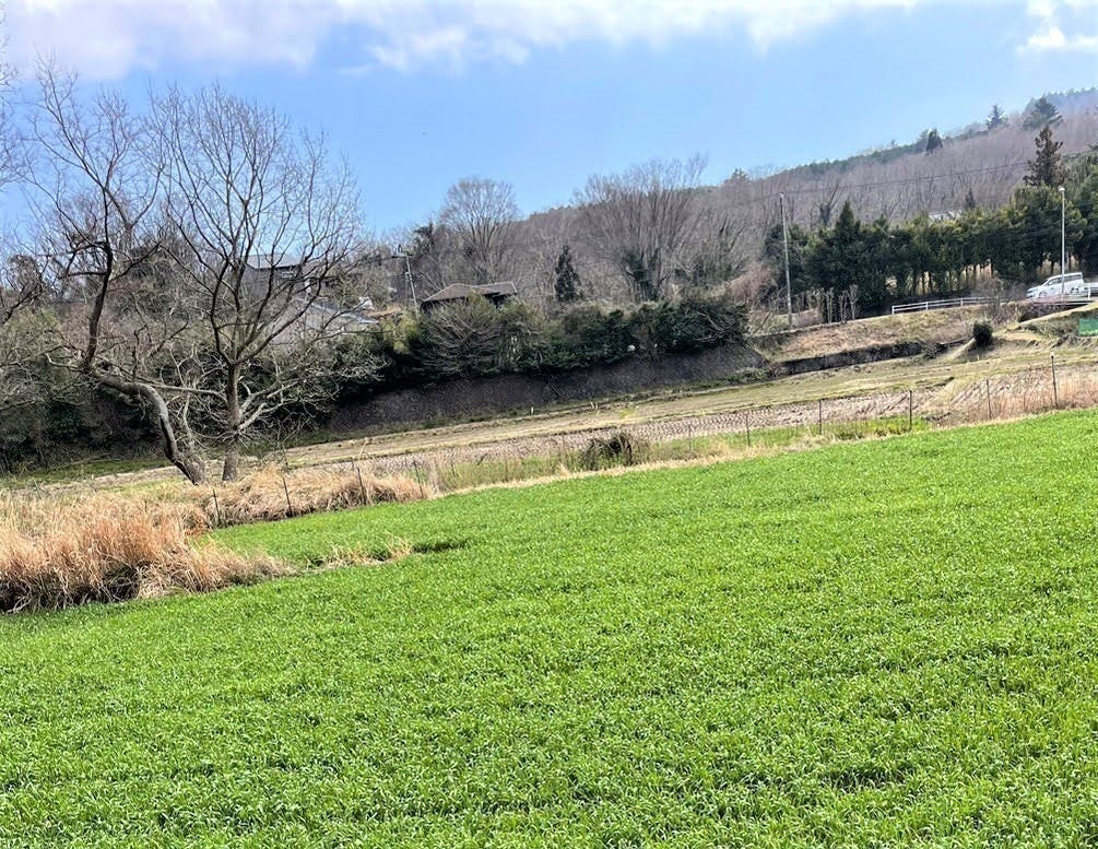 4番目のメイン画像