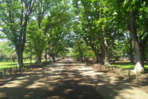 1番目のメイン画像