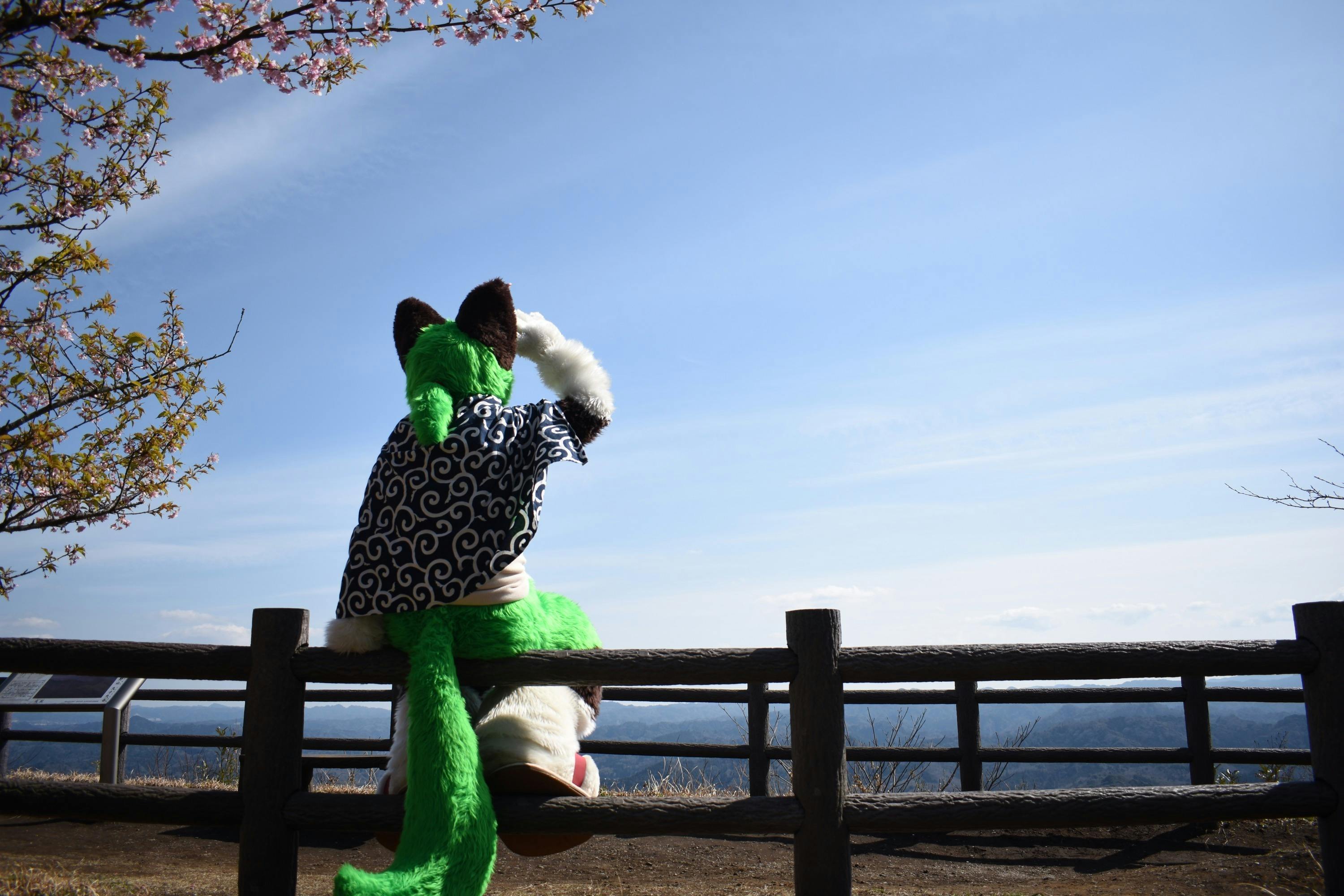 5番目のメイン画像