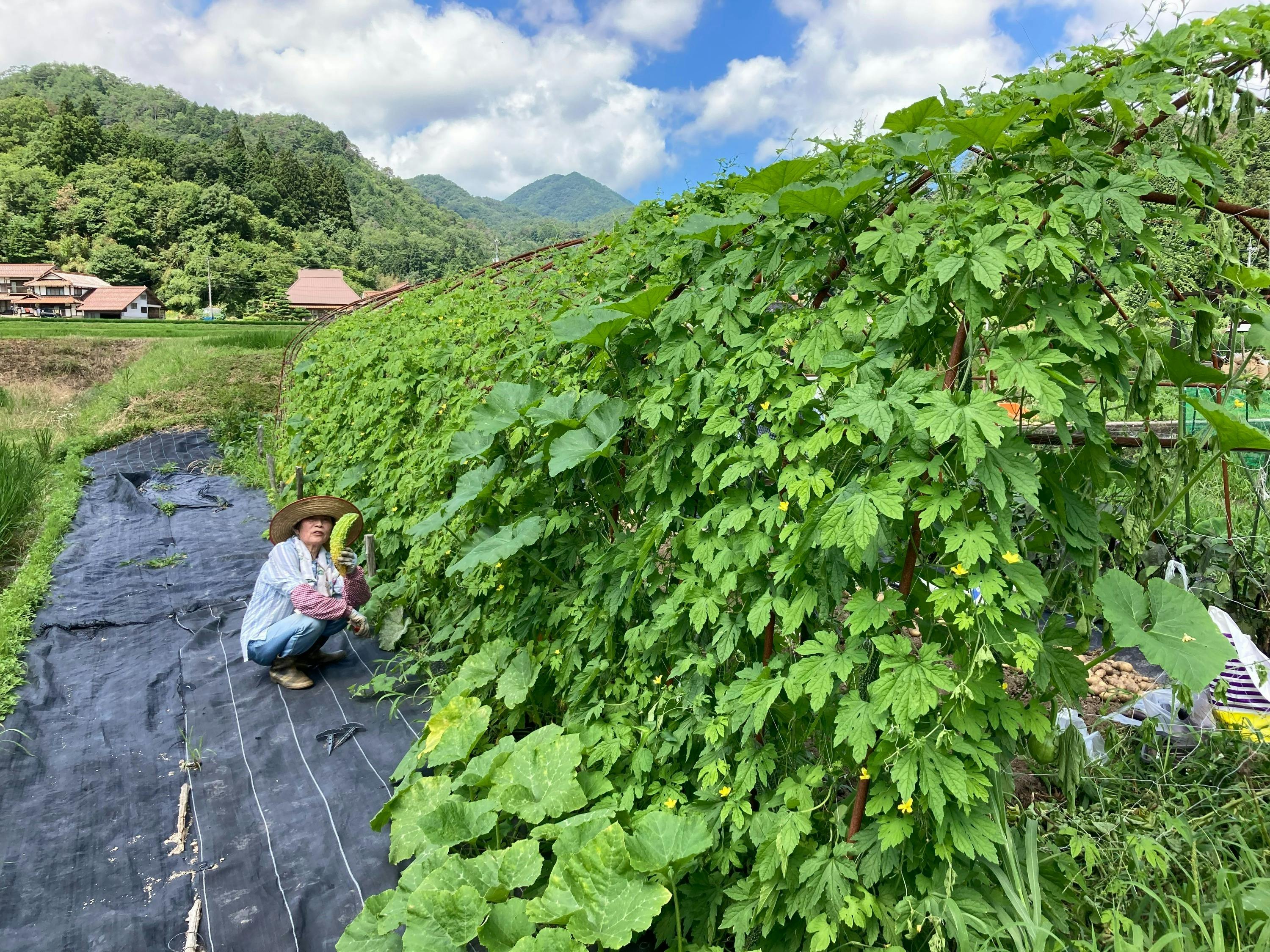 4番目のメイン画像