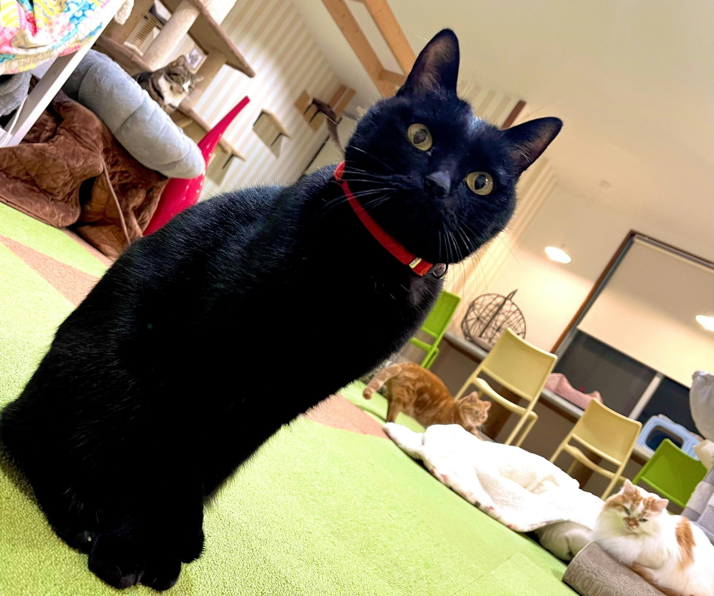 2番目のメイン画像