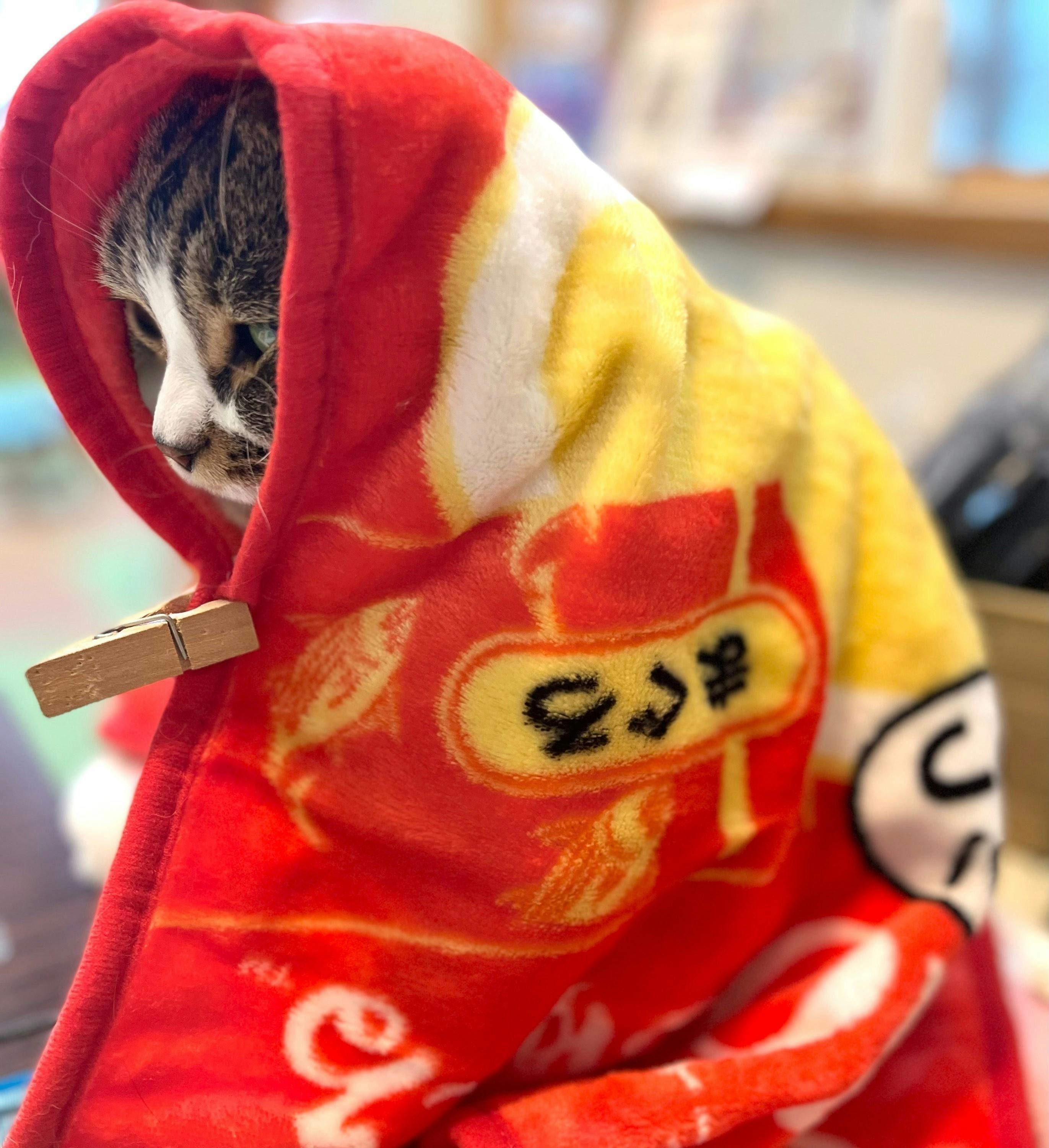 4番目のメイン画像