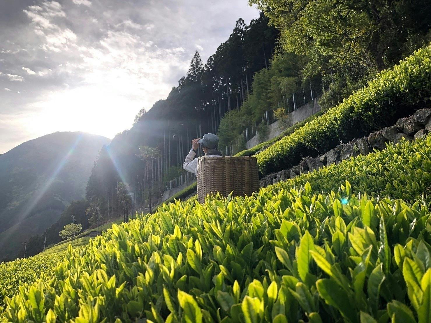 5番目のメイン画像