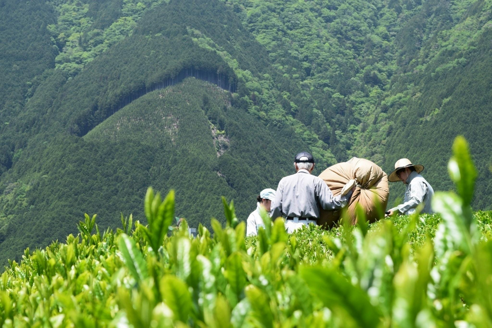 3番目のメイン画像