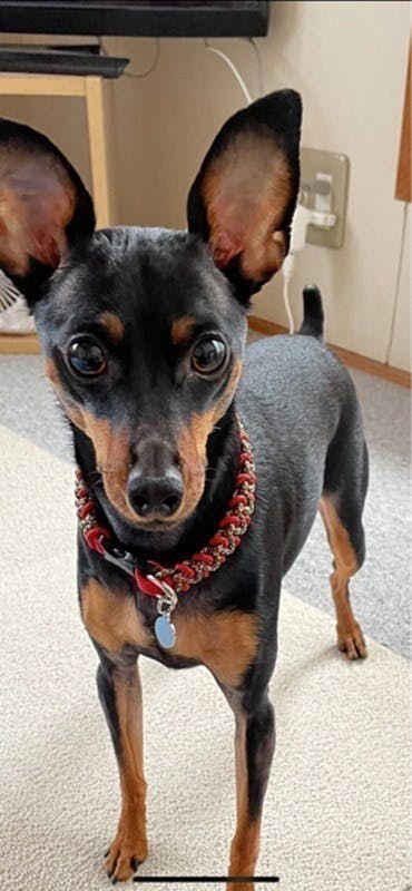 2番目のメイン画像