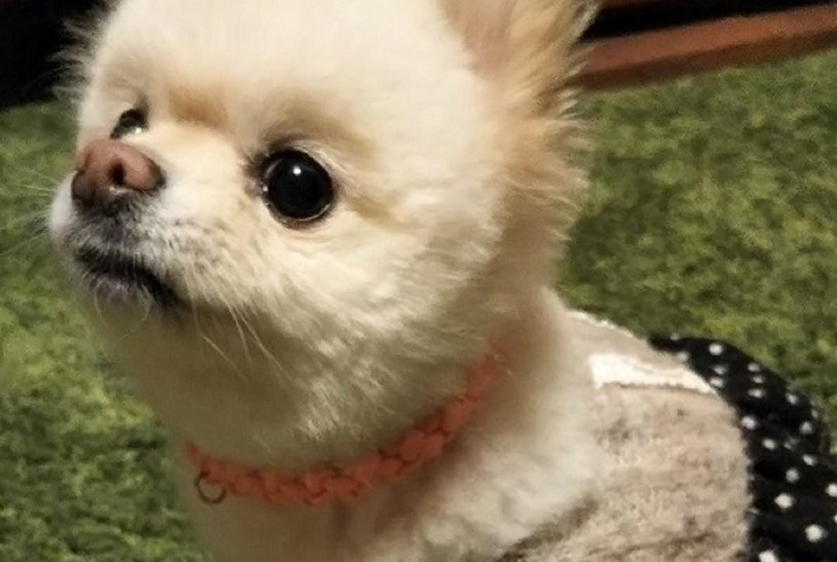 4番目のメイン画像