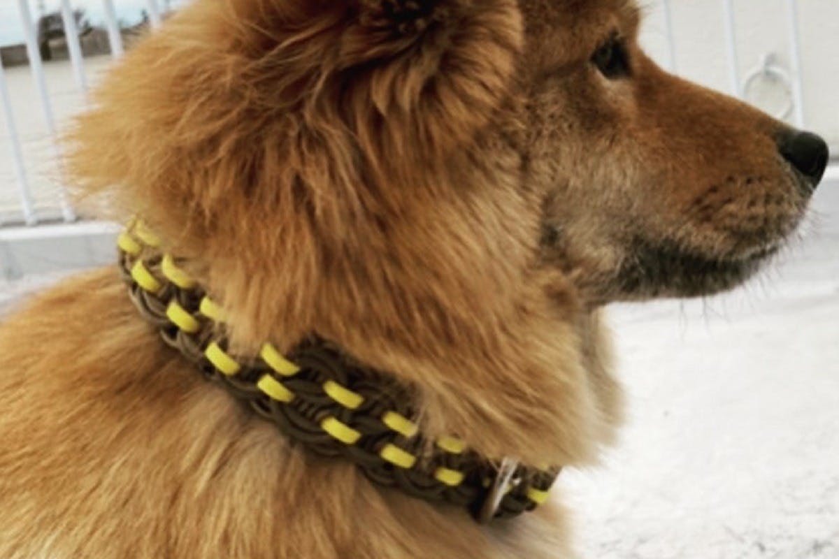 5番目のメイン画像