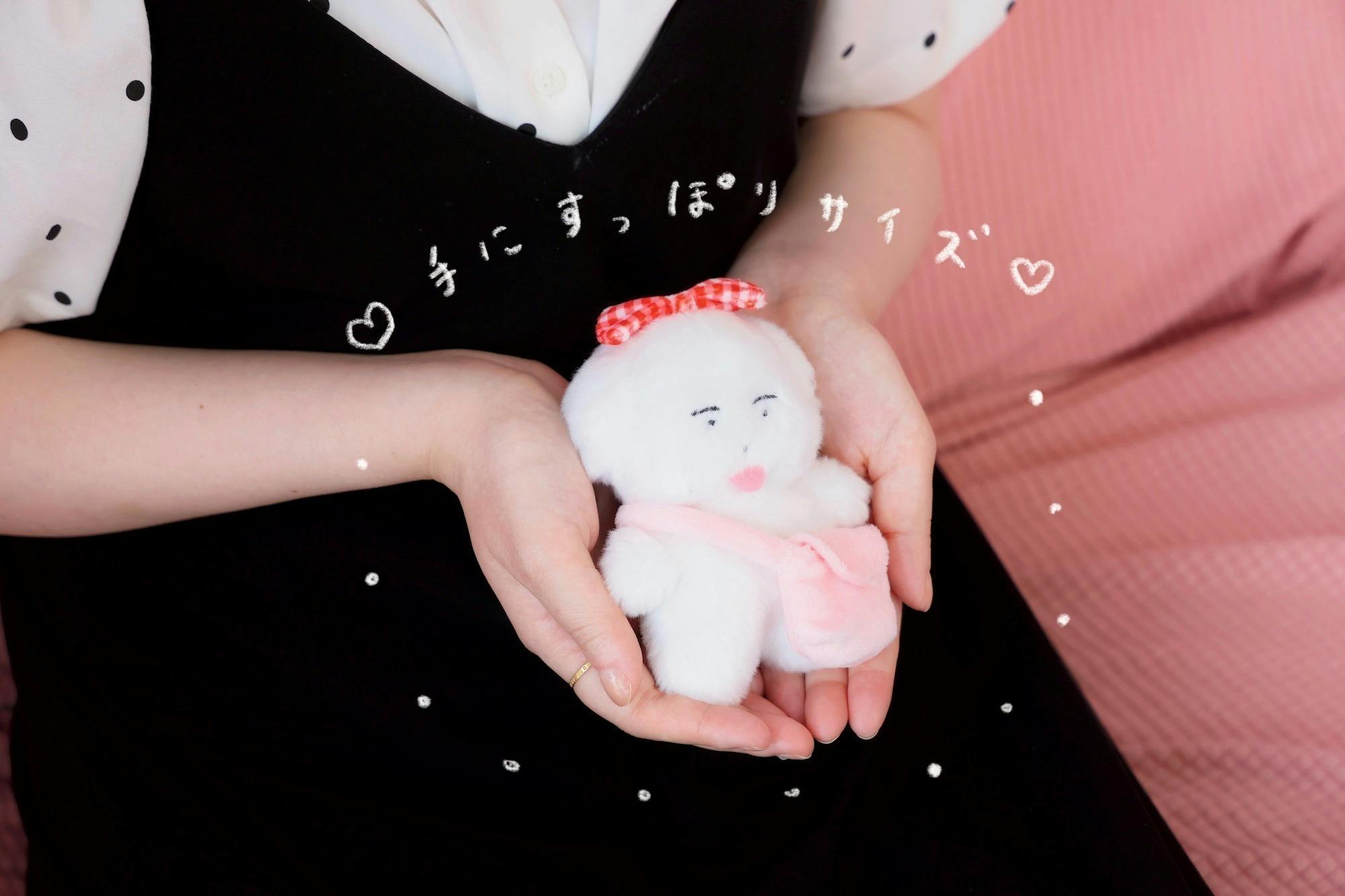 ワヌ山 ワヌ美 クラウドファンディング ぬいぐるみセット ワヌ美ちゃんぬいぐるみ化プロジェクト - CAMPFIRE (キャンプ