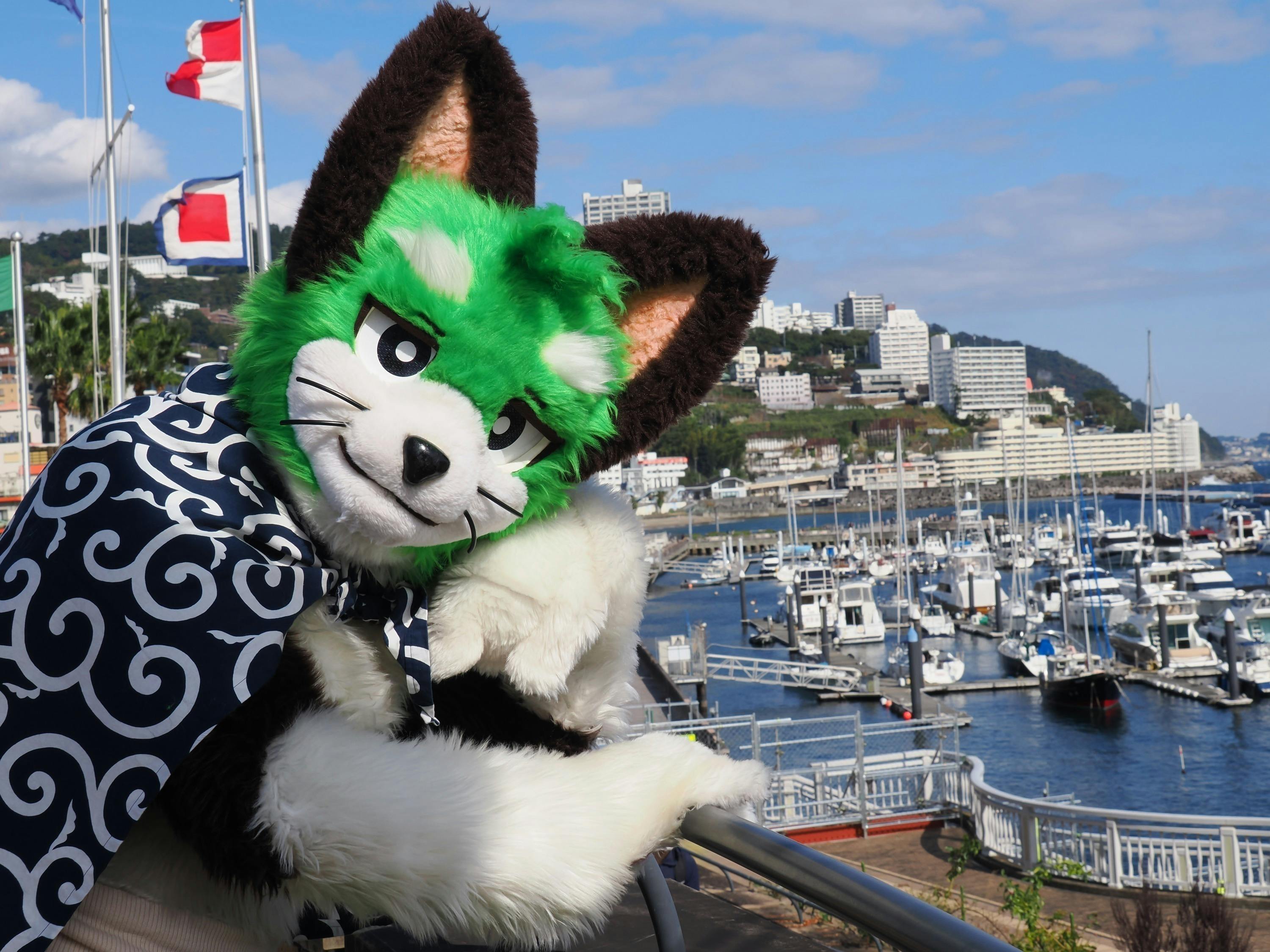 2番目のメイン画像