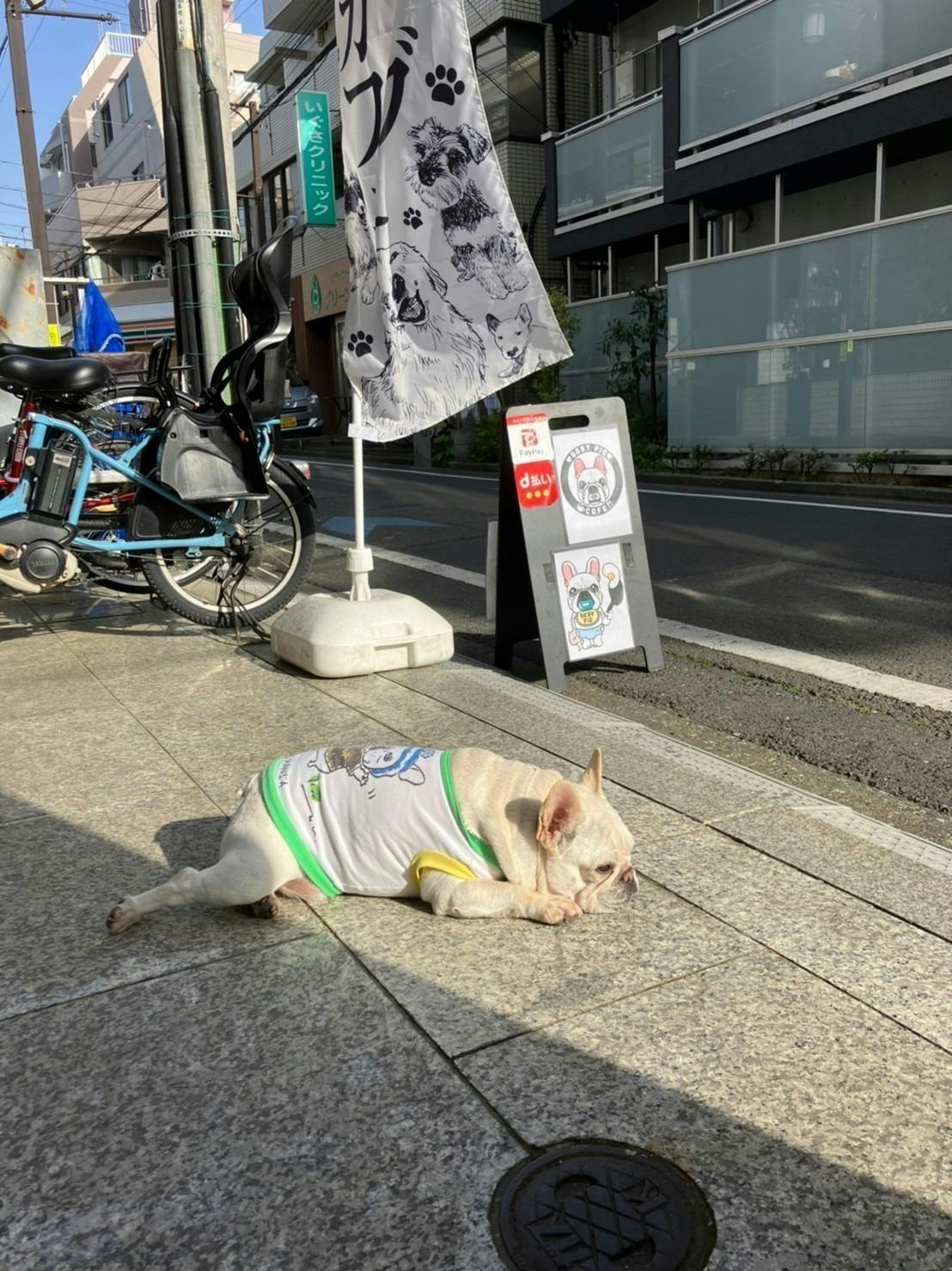 2番目のメイン画像