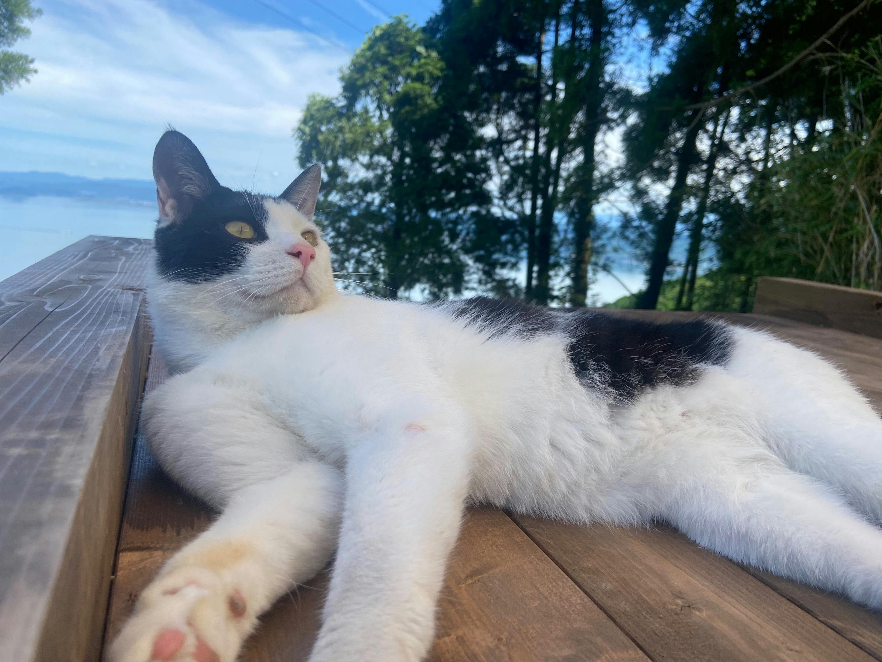 4番目のメイン画像