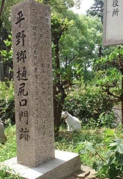 4番目のメイン画像