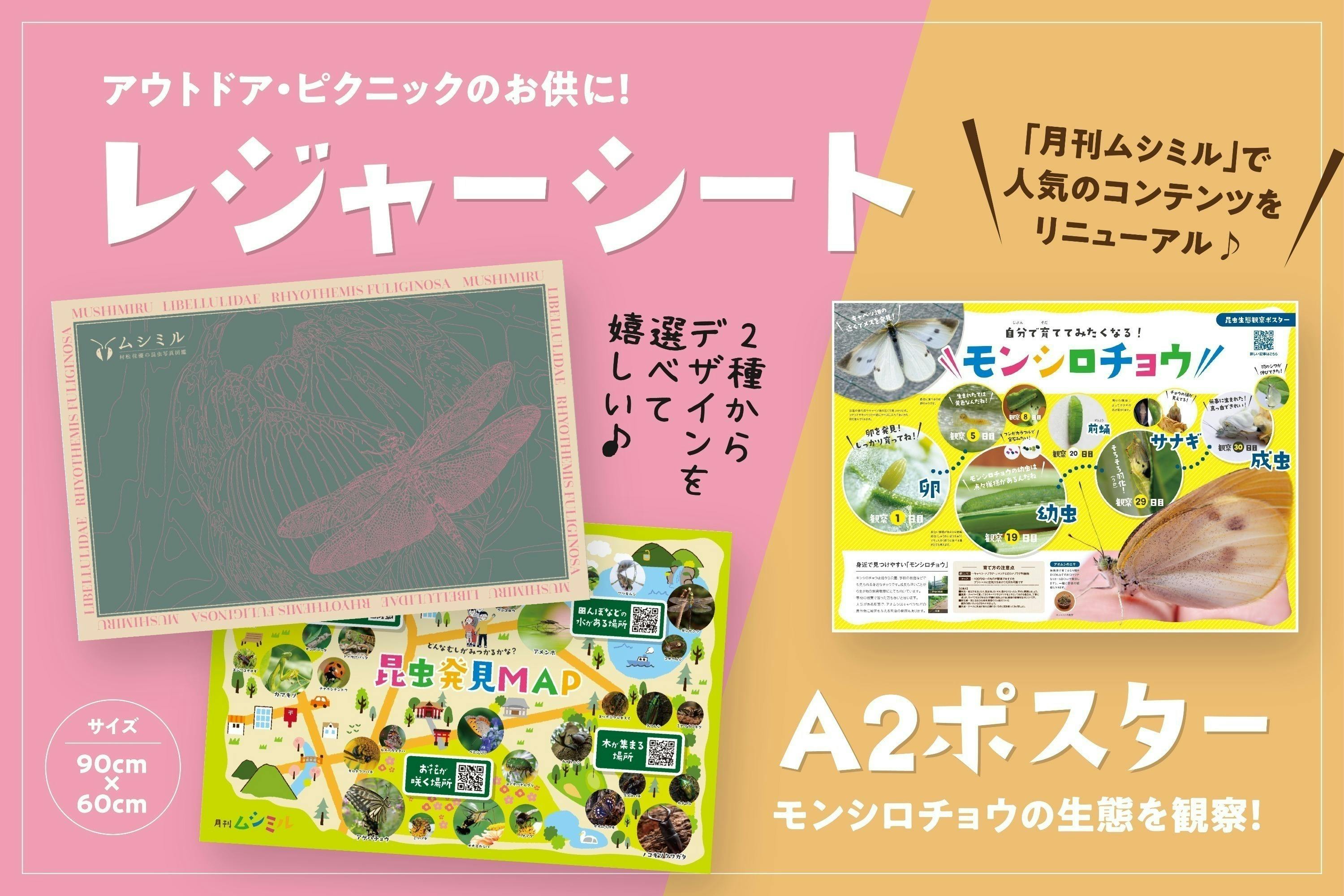 3番目のメイン画像