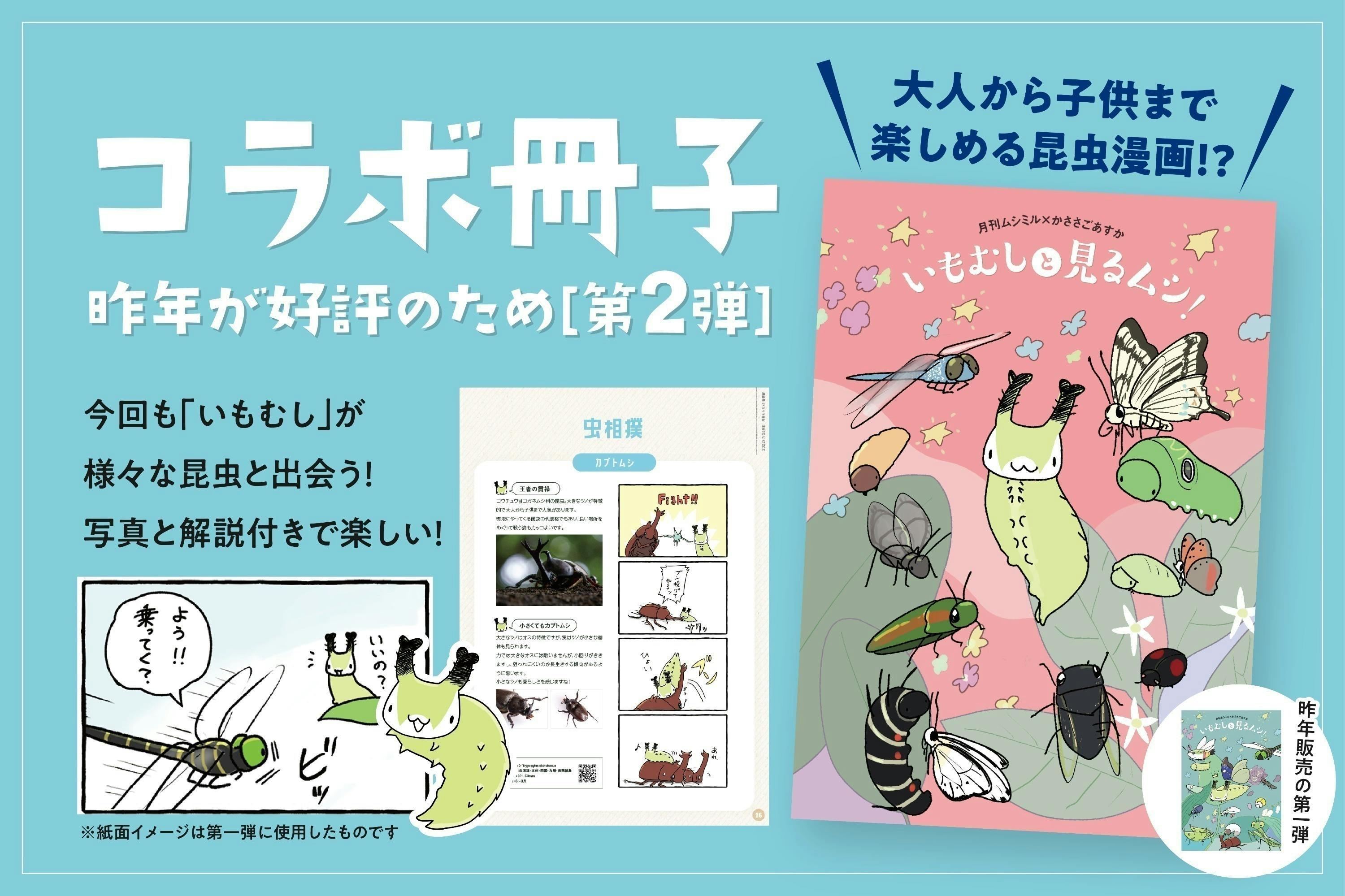 2番目のメイン画像