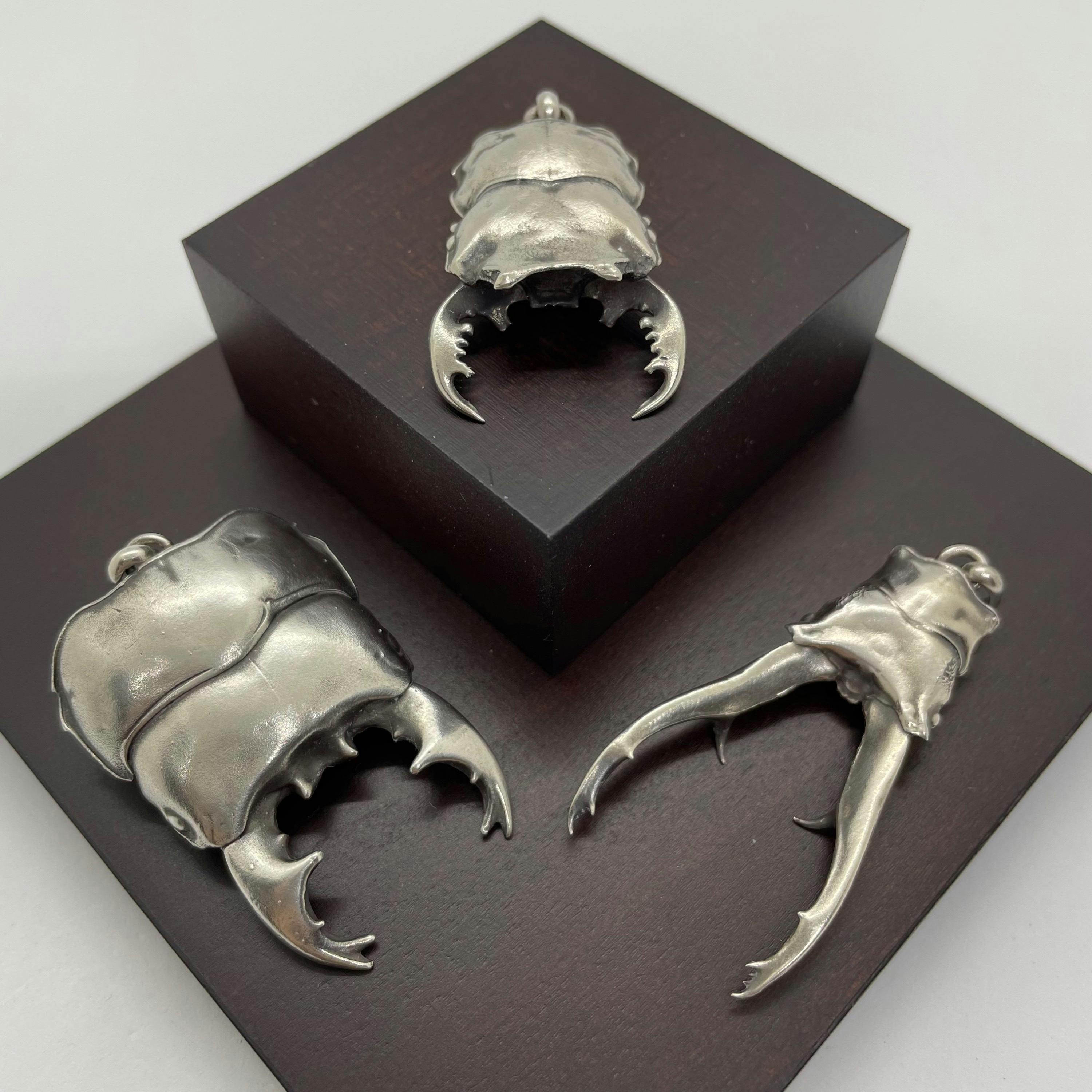 本物の昆虫から型を取って作ったシルバーアクセサリー